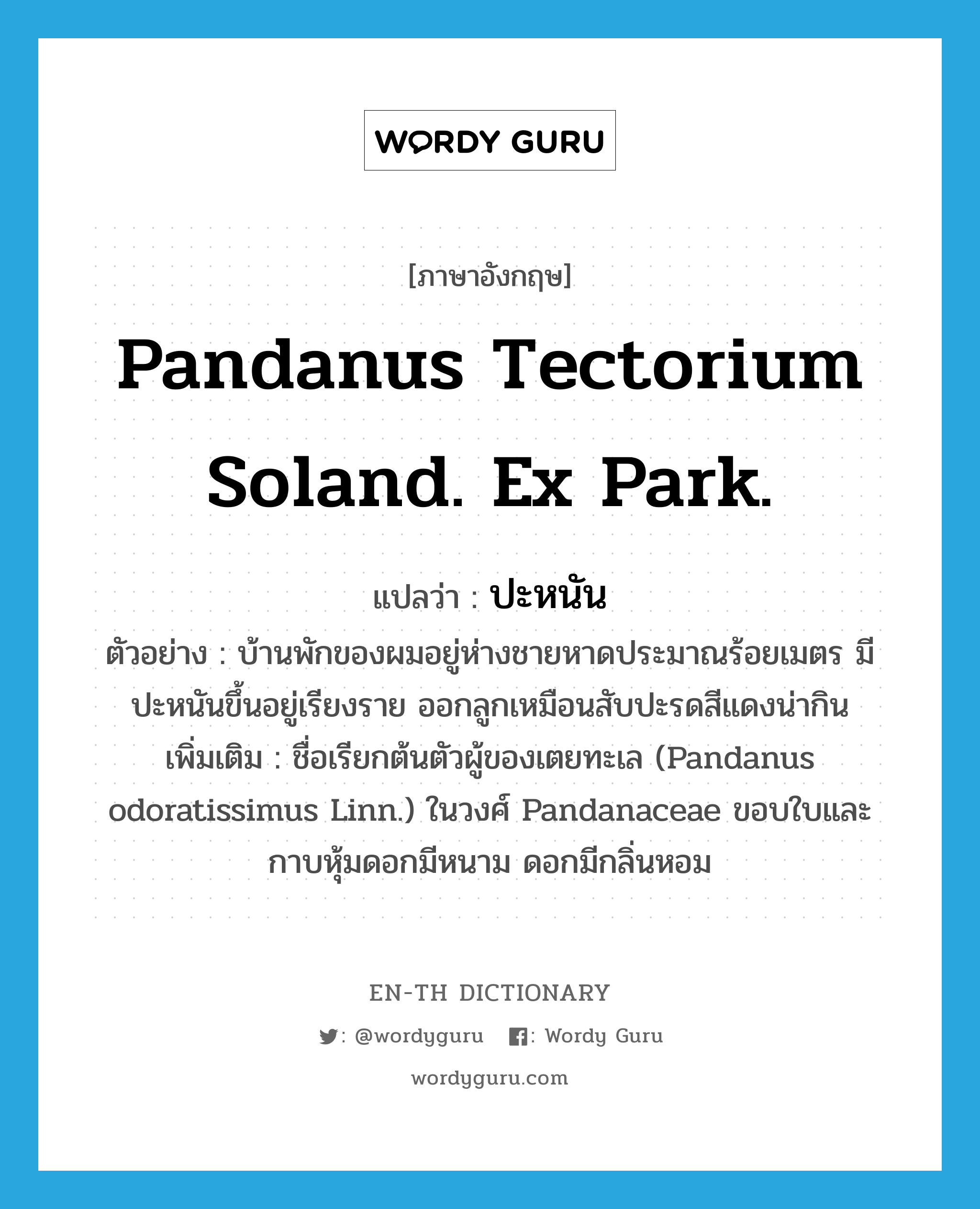 Pandanus tectorium Soland. Ex Park. แปลว่า?, คำศัพท์ภาษาอังกฤษ Pandanus tectorium Soland. Ex Park. แปลว่า ปะหนัน ประเภท N ตัวอย่าง บ้านพักของผมอยู่ห่างชายหาดประมาณร้อยเมตร มีปะหนันขึ้นอยู่เรียงราย ออกลูกเหมือนสับปะรดสีแดงน่ากิน เพิ่มเติม ชื่อเรียกต้นตัวผู้ของเตยทะเล (Pandanus odoratissimus Linn.) ในวงศ์ Pandanaceae ขอบใบและกาบหุ้มดอกมีหนาม ดอกมีกลิ่นหอม หมวด N