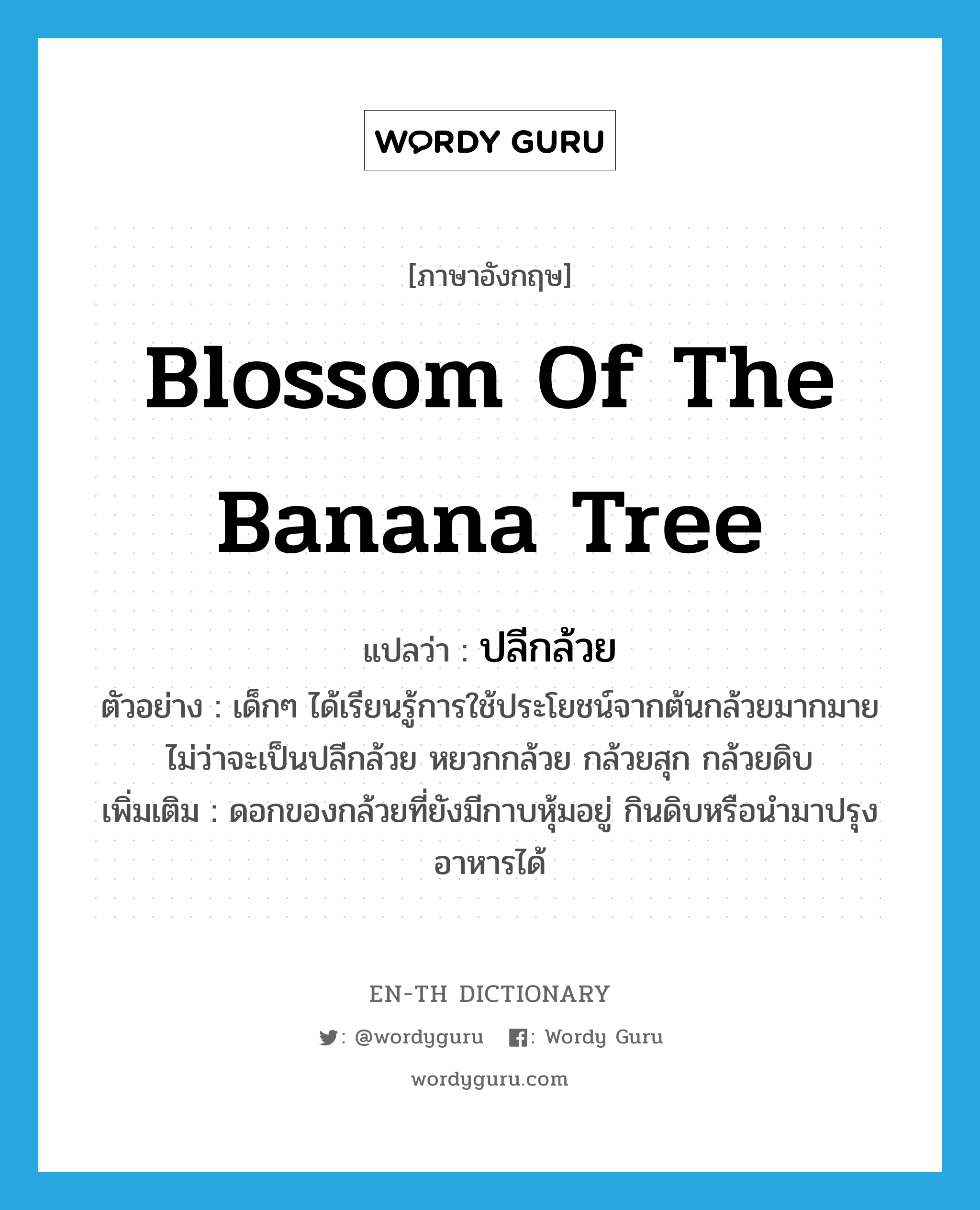 blossom of the banana tree แปลว่า?, คำศัพท์ภาษาอังกฤษ blossom of the banana tree แปลว่า ปลีกล้วย ประเภท N ตัวอย่าง เด็กๆ ได้เรียนรู้การใช้ประโยชน์จากต้นกล้วยมากมาย ไม่ว่าจะเป็นปลีกล้วย หยวกกล้วย กล้วยสุก กล้วยดิบ เพิ่มเติม ดอกของกล้วยที่ยังมีกาบหุ้มอยู่ กินดิบหรือนำมาปรุงอาหารได้ หมวด N