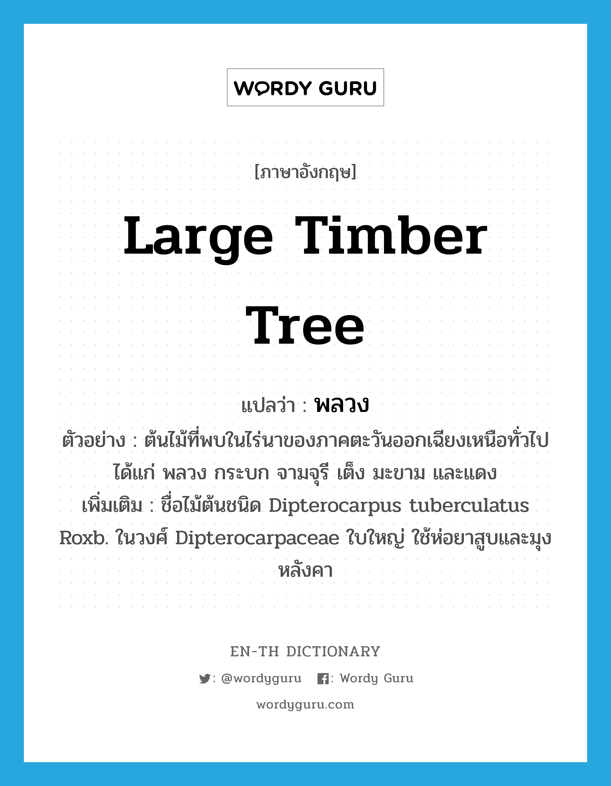 large timber tree แปลว่า?, คำศัพท์ภาษาอังกฤษ large timber tree แปลว่า พลวง ประเภท N ตัวอย่าง ต้นไม้ที่พบในไร่นาของภาคตะวันออกเฉียงเหนือทั่วไปได้แก่ พลวง กระบก จามจุรี เต็ง มะขาม และแดง เพิ่มเติม ชื่อไม้ต้นชนิด Dipterocarpus tuberculatus Roxb. ในวงศ์ Dipterocarpaceae ใบใหญ่ ใช้ห่อยาสูบและมุงหลังคา หมวด N