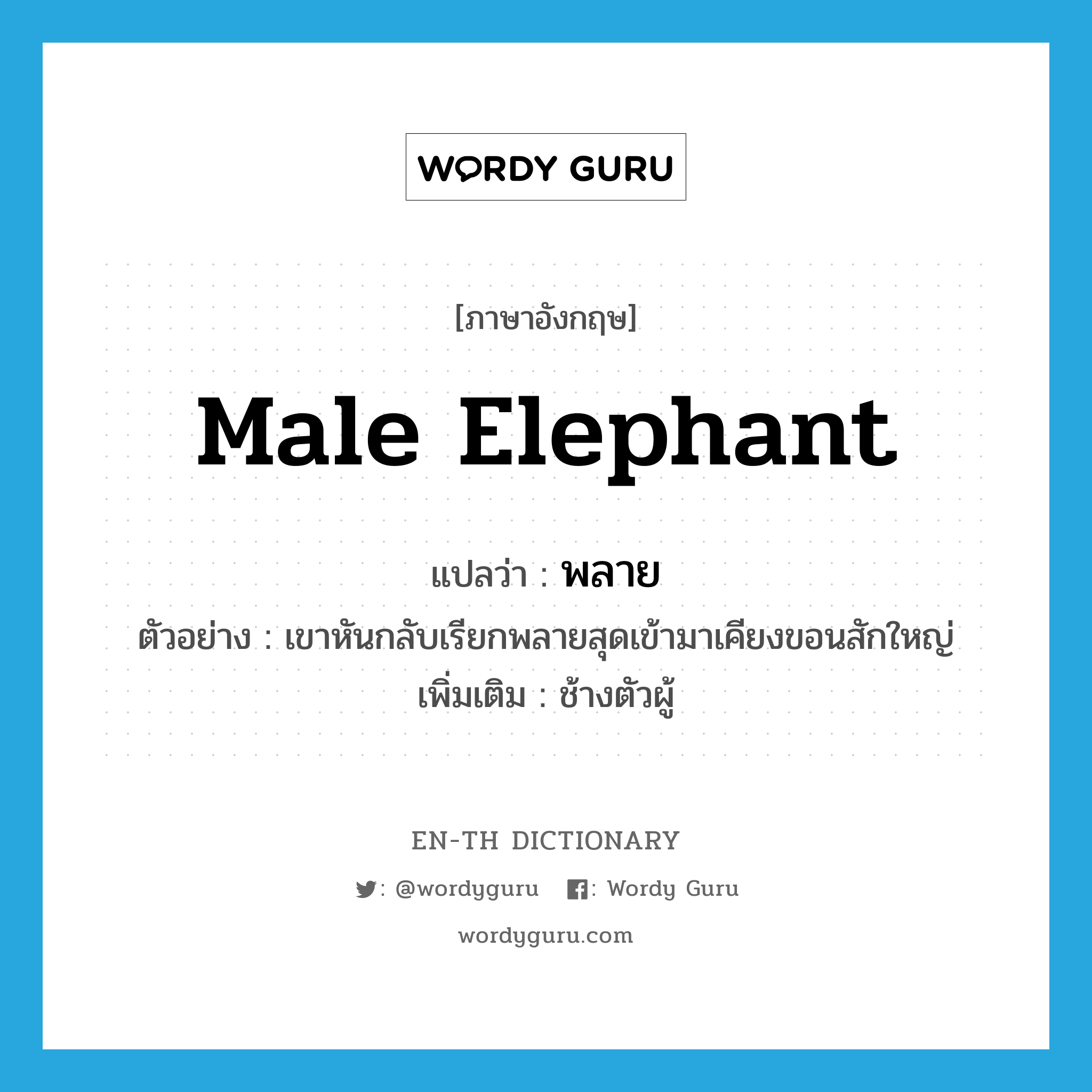 male elephant แปลว่า?, คำศัพท์ภาษาอังกฤษ male elephant แปลว่า พลาย ประเภท N ตัวอย่าง เขาหันกลับเรียกพลายสุดเข้ามาเคียงขอนสักใหญ่ เพิ่มเติม ช้างตัวผู้ หมวด N