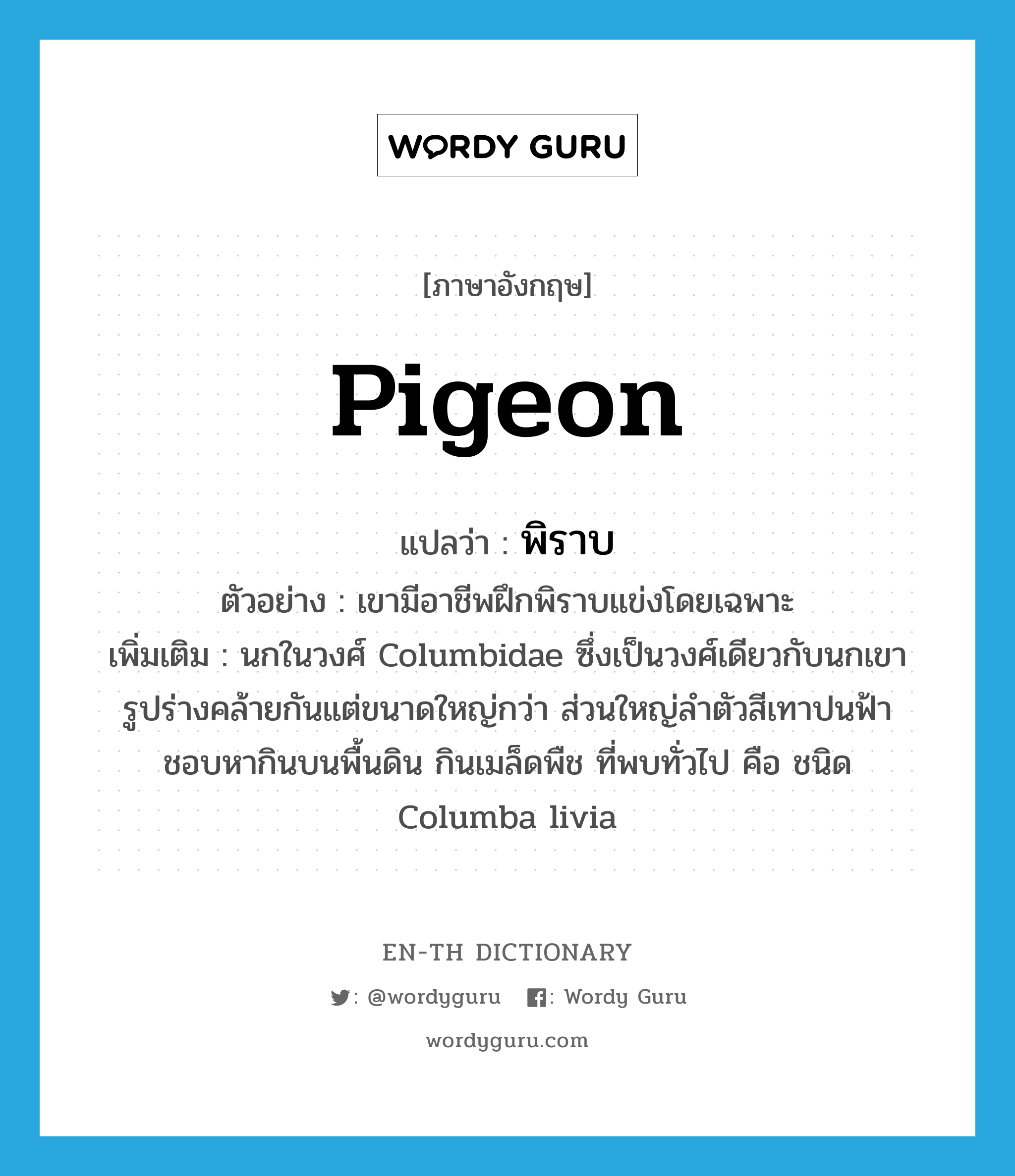 pigeon แปลว่า?, คำศัพท์ภาษาอังกฤษ pigeon แปลว่า พิราบ ประเภท N ตัวอย่าง เขามีอาชีพฝึกพิราบแข่งโดยเฉพาะ เพิ่มเติม นกในวงศ์ Columbidae ซึ่งเป็นวงศ์เดียวกับนกเขา รูปร่างคล้ายกันแต่ขนาดใหญ่กว่า ส่วนใหญ่ลำตัวสีเทาปนฟ้า ชอบหากินบนพื้นดิน กินเมล็ดพืช ที่พบทั่วไป คือ ชนิด Columba livia หมวด N
