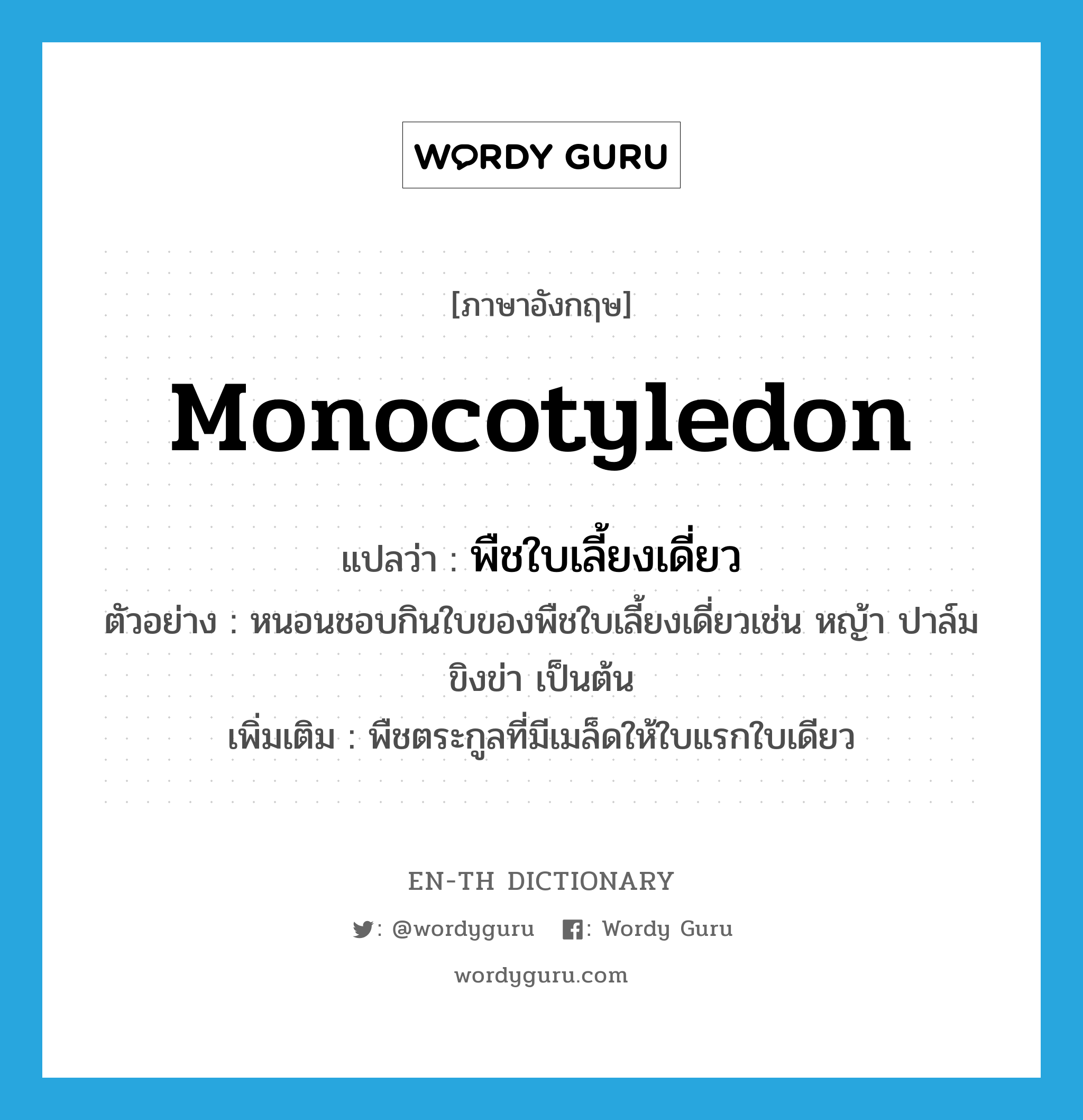 monocotyledon แปลว่า?, คำศัพท์ภาษาอังกฤษ monocotyledon แปลว่า พืชใบเลี้ยงเดี่ยว ประเภท N ตัวอย่าง หนอนชอบกินใบของพืชใบเลี้ยงเดี่ยวเช่น หญ้า ปาล์ม ขิงข่า เป็นต้น เพิ่มเติม พืชตระกูลที่มีเมล็ดให้ใบแรกใบเดียว หมวด N