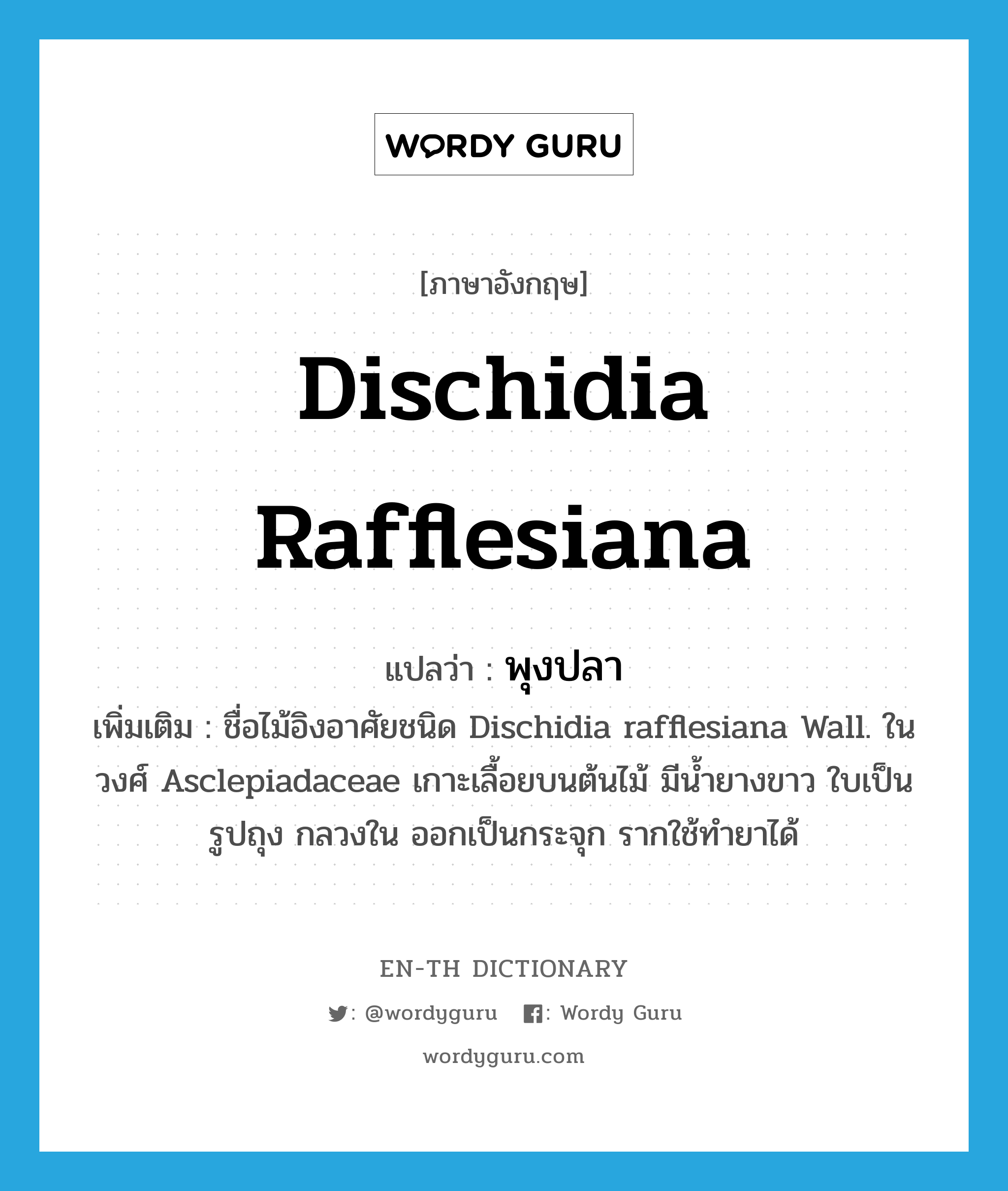 Dischidia rafflesiana แปลว่า?, คำศัพท์ภาษาอังกฤษ Dischidia rafflesiana แปลว่า พุงปลา ประเภท N เพิ่มเติม ชื่อไม้อิงอาศัยชนิด Dischidia rafflesiana Wall. ในวงศ์ Asclepiadaceae เกาะเลื้อยบนต้นไม้ มีน้ำยางขาว ใบเป็นรูปถุง กลวงใน ออกเป็นกระจุก รากใช้ทำยาได้ หมวด N