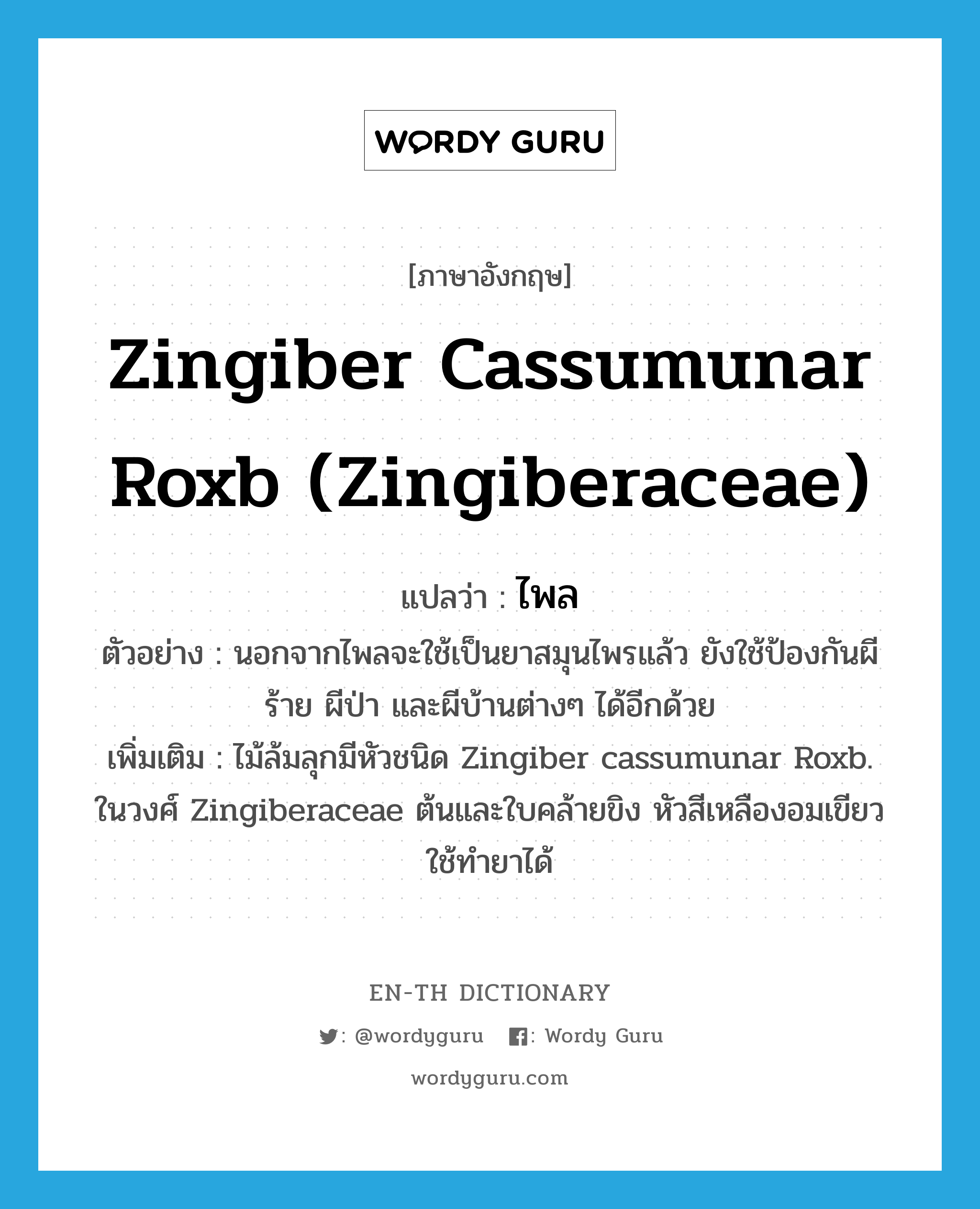 Zingiber cassumunar Roxb (Zingiberaceae) แปลว่า?, คำศัพท์ภาษาอังกฤษ Zingiber cassumunar Roxb (Zingiberaceae) แปลว่า ไพล ประเภท N ตัวอย่าง นอกจากไพลจะใช้เป็นยาสมุนไพรแล้ว ยังใช้ป้องกันผีร้าย ผีป่า และผีบ้านต่างๆ ได้อีกด้วย เพิ่มเติม ไม้ล้มลุกมีหัวชนิด Zingiber cassumunar Roxb. ในวงศ์ Zingiberaceae ต้นและใบคล้ายขิง หัวสีเหลืองอมเขียวใช้ทำยาได้ หมวด N