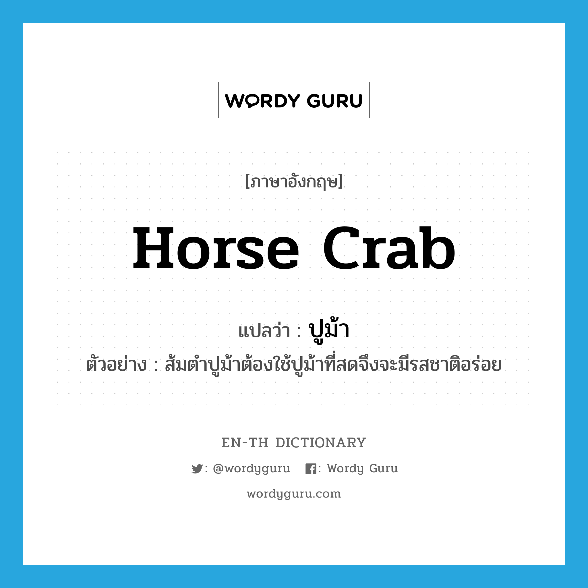 horse crab แปลว่า?, คำศัพท์ภาษาอังกฤษ horse crab แปลว่า ปูม้า ประเภท N ตัวอย่าง ส้มตำปูม้าต้องใช้ปูม้าที่สดจึงจะมีรสชาติอร่อย หมวด N