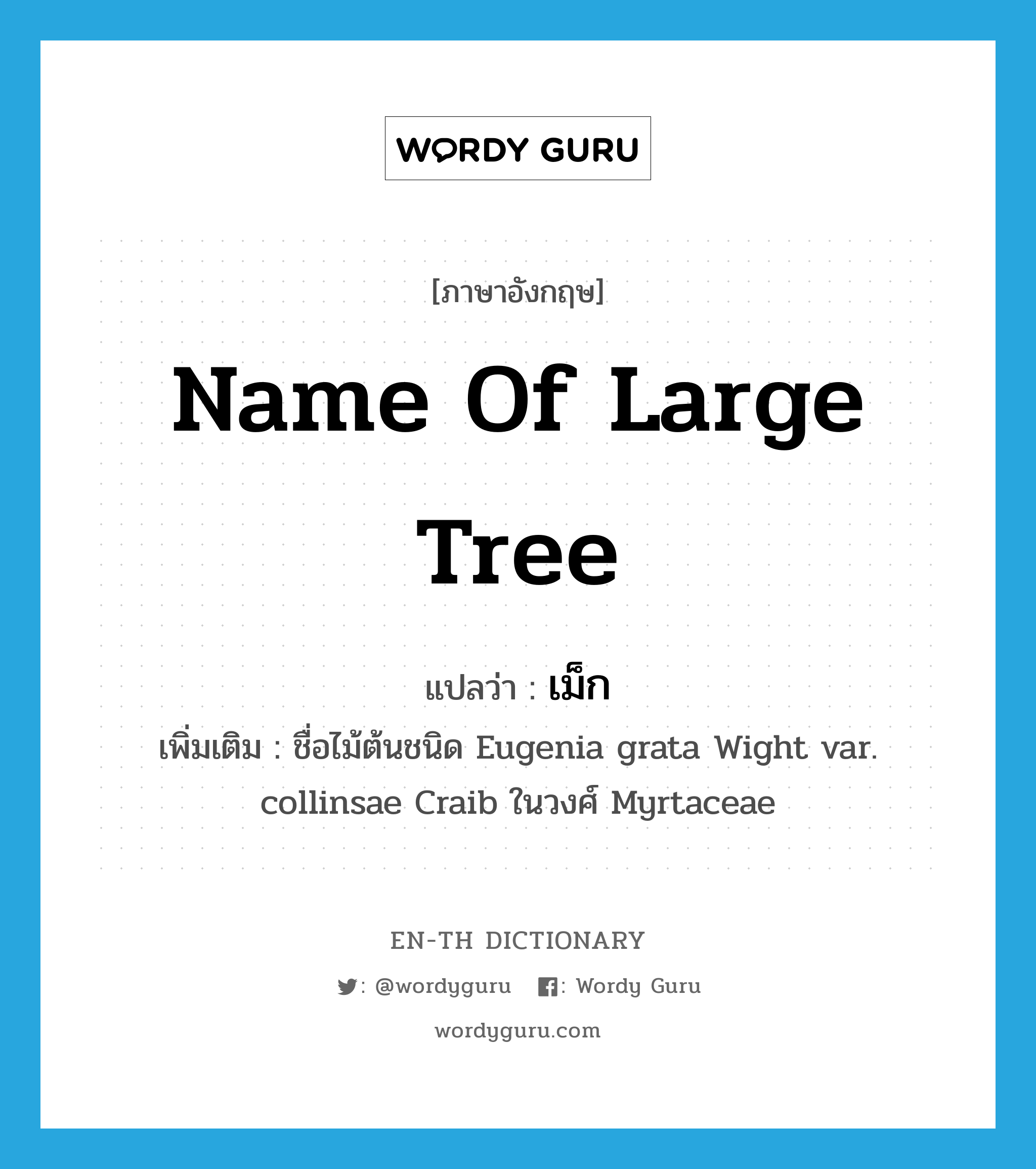 name of large tree แปลว่า?, คำศัพท์ภาษาอังกฤษ name of large tree แปลว่า เม็ก ประเภท N เพิ่มเติม ชื่อไม้ต้นชนิด Eugenia grata Wight var. collinsae Craib ในวงศ์ Myrtaceae หมวด N