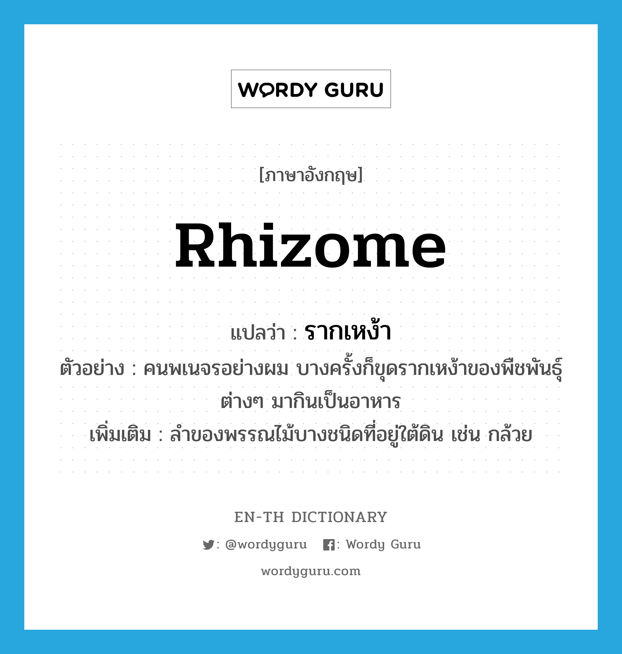 rhizome แปลว่า?, คำศัพท์ภาษาอังกฤษ rhizome แปลว่า รากเหง้า ประเภท N ตัวอย่าง คนพเนจรอย่างผม บางครั้งก็ขุดรากเหง้าของพืชพันธุ์ต่างๆ มากินเป็นอาหาร เพิ่มเติม ลำของพรรณไม้บางชนิดที่อยู่ใต้ดิน เช่น กล้วย หมวด N