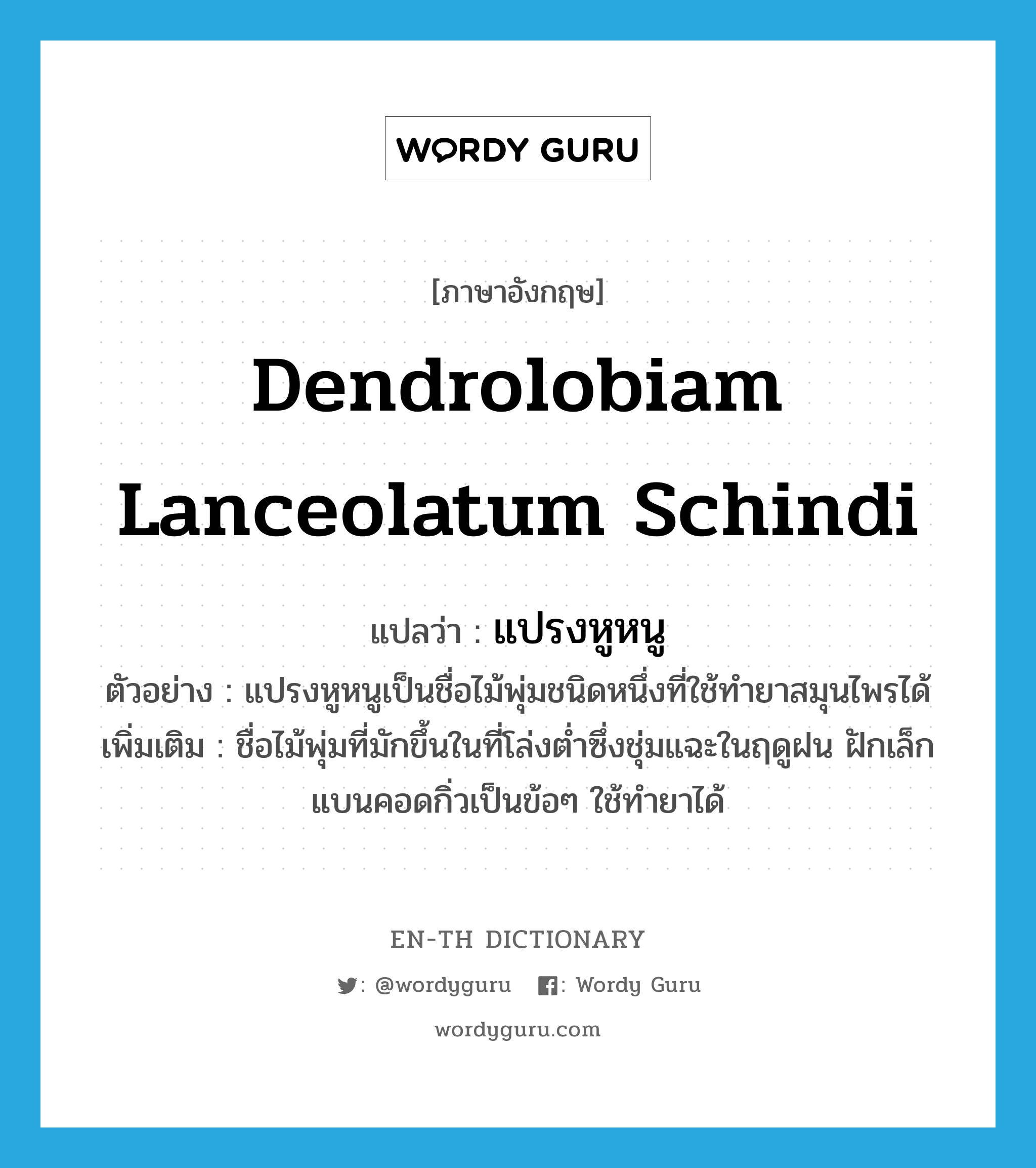 Dendrolobiam lanceolatum Schindi แปลว่า?, คำศัพท์ภาษาอังกฤษ Dendrolobiam lanceolatum Schindi แปลว่า แปรงหูหนู ประเภท N ตัวอย่าง แปรงหูหนูเป็นชื่อไม้พุ่มชนิดหนึ่งที่ใช้ทำยาสมุนไพรได้ เพิ่มเติม ชื่อไม้พุ่มที่มักขึ้นในที่โล่งต่ำซึ่งชุ่มแฉะในฤดูฝน ฝักเล็กแบนคอดกิ่วเป็นข้อๆ ใช้ทำยาได้ หมวด N