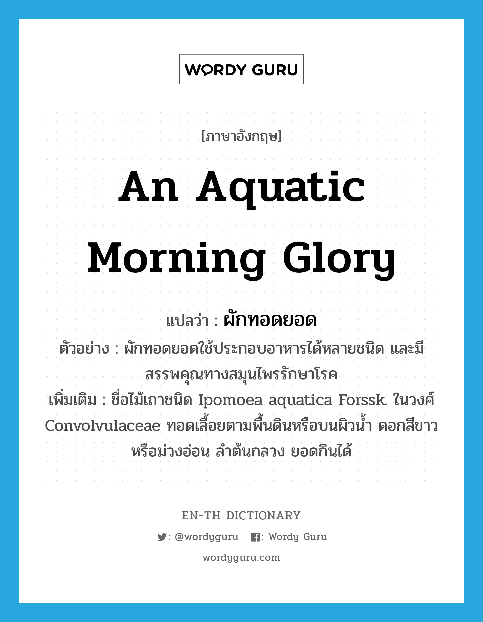 ผักทอดยอด ภาษาอังกฤษ?, คำศัพท์ภาษาอังกฤษ ผักทอดยอด แปลว่า an aquatic morning glory ประเภท N ตัวอย่าง ผักทอดยอดใช้ประกอบอาหารได้หลายชนิด และมีสรรพคุณทางสมุนไพรรักษาโรค เพิ่มเติม ชื่อไม้เถาชนิด Ipomoea aquatica Forssk. ในวงศ์ Convolvulaceae ทอดเลื้อยตามพื้นดินหรือบนผิวน้ำ ดอกสีขาวหรือม่วงอ่อน ลำต้นกลวง ยอดกินได้ หมวด N
