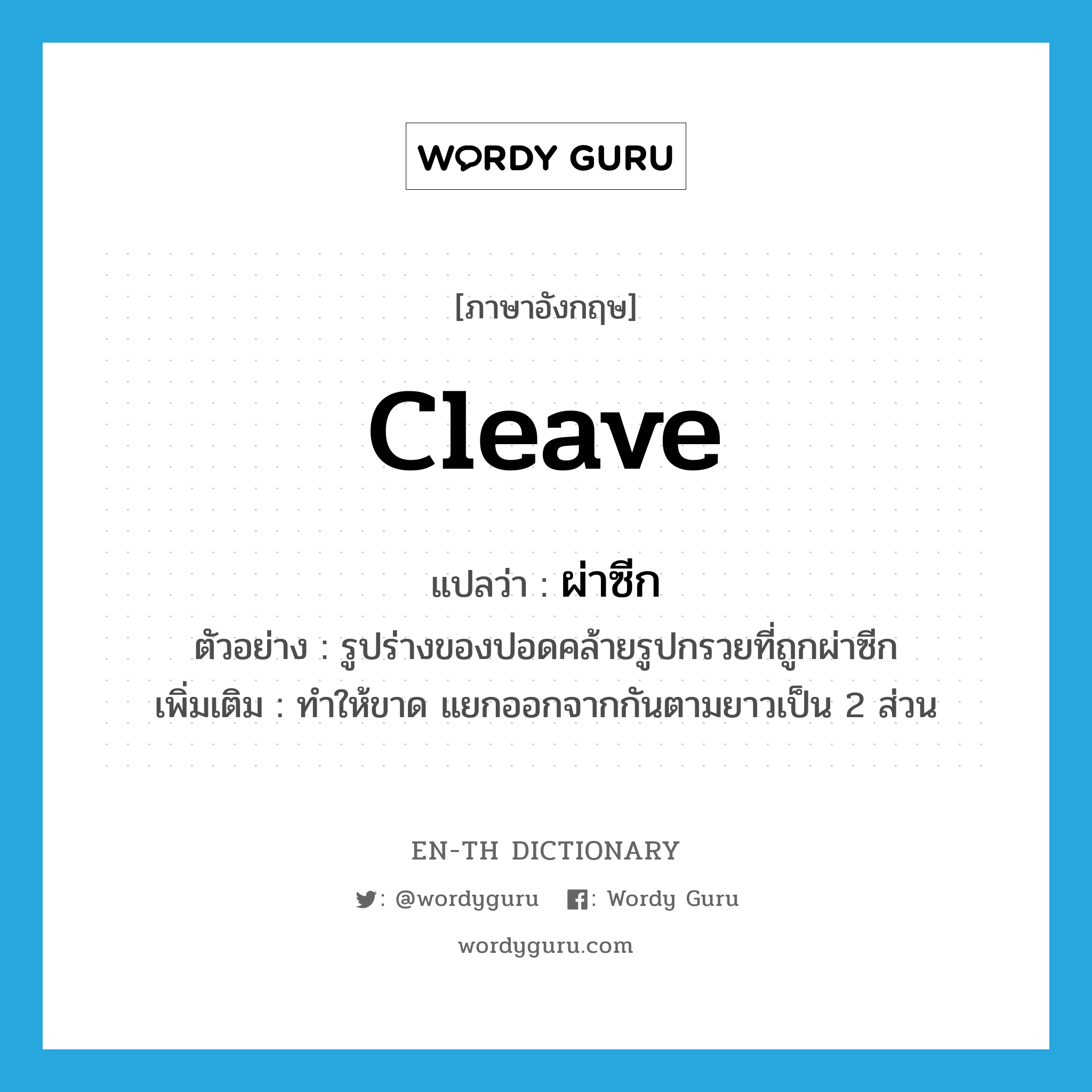 cleave แปลว่า?, คำศัพท์ภาษาอังกฤษ cleave แปลว่า ผ่าซีก ประเภท V ตัวอย่าง รูปร่างของปอดคล้ายรูปกรวยที่ถูกผ่าซีก เพิ่มเติม ทำให้ขาด แยกออกจากกันตามยาวเป็น 2 ส่วน หมวด V