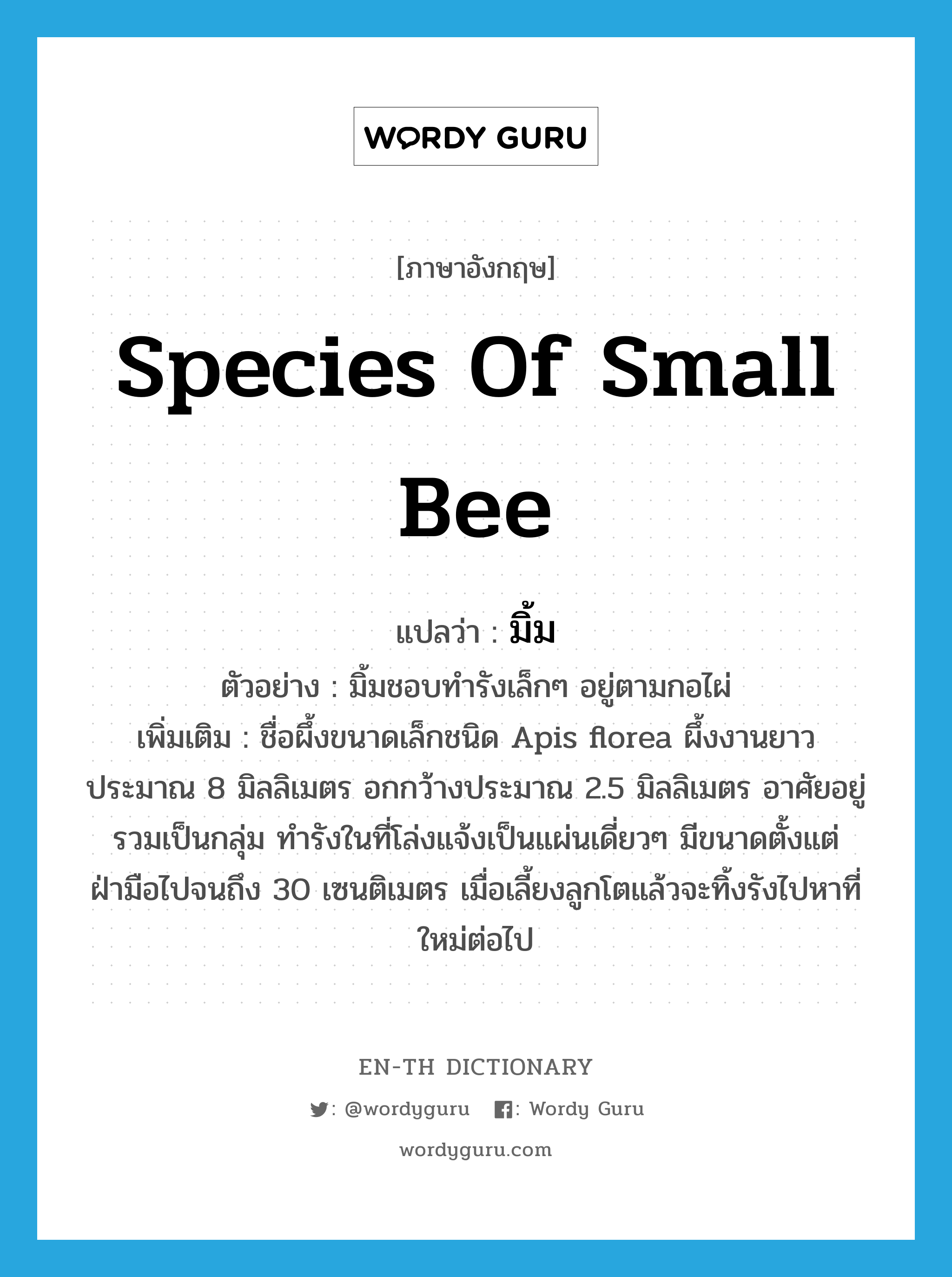 species of small bee แปลว่า?, คำศัพท์ภาษาอังกฤษ species of small bee แปลว่า มิ้ม ประเภท N ตัวอย่าง มิ้มชอบทำรังเล็กๆ อยู่ตามกอไผ่ เพิ่มเติม ชื่อผึ้งขนาดเล็กชนิด Apis florea ผึ้งงานยาวประมาณ 8 มิลลิเมตร อกกว้างประมาณ 2.5 มิลลิเมตร อาศัยอยู่รวมเป็นกลุ่ม ทำรังในที่โล่งแจ้งเป็นแผ่นเดี่ยวๆ มีขนาดตั้งแต่ฝ่ามือไปจนถึง 30 เซนติเมตร เมื่อเลี้ยงลูกโตแล้วจะทิ้งรังไปหาที่ใหม่ต่อไป หมวด N
