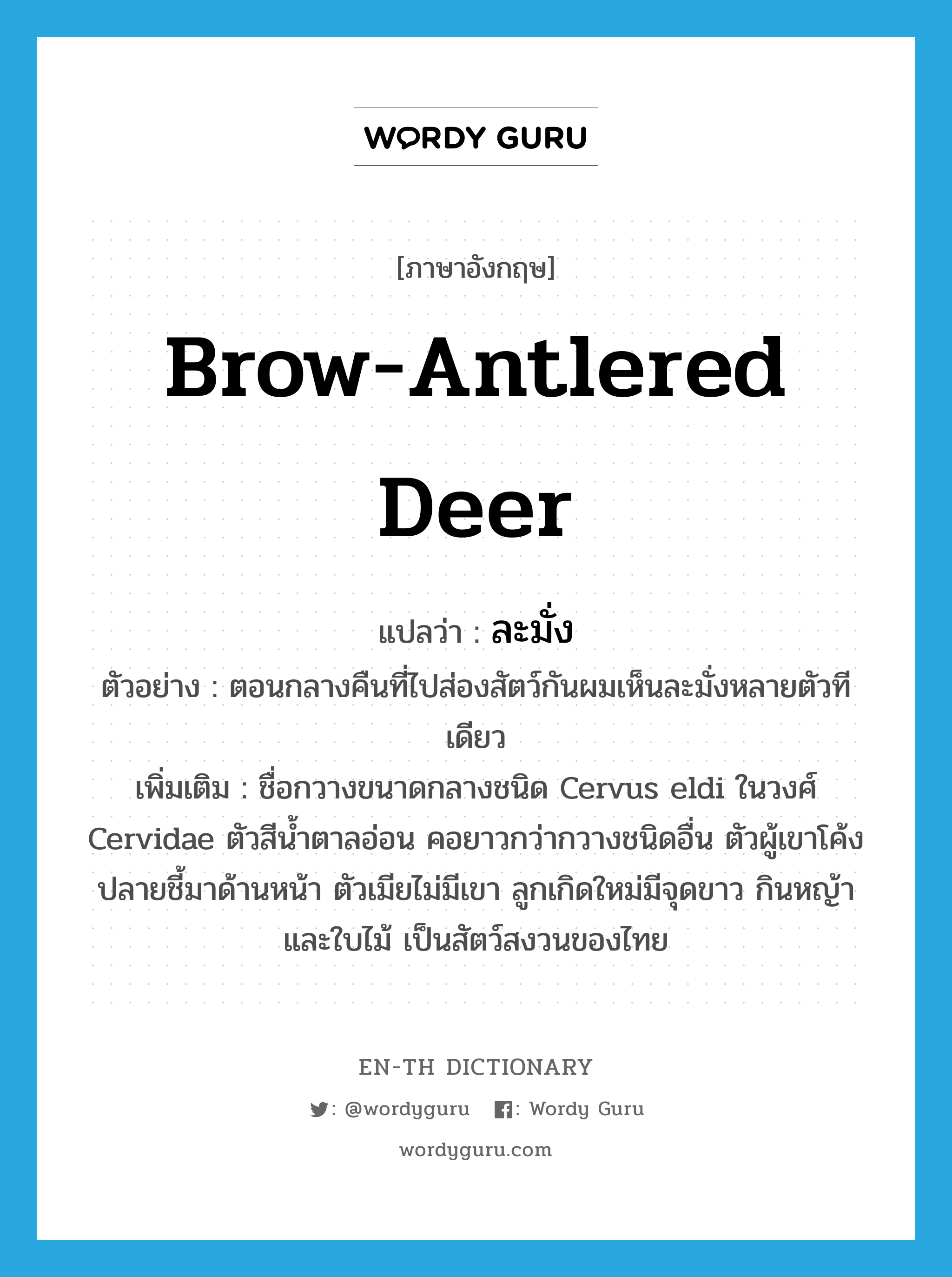 brow-antlered deer แปลว่า?, คำศัพท์ภาษาอังกฤษ brow-antlered deer แปลว่า ละมั่ง ประเภท N ตัวอย่าง ตอนกลางคืนที่ไปส่องสัตว์กันผมเห็นละมั่งหลายตัวทีเดียว เพิ่มเติม ชื่อกวางขนาดกลางชนิด Cervus eldi ในวงศ์ Cervidae ตัวสีน้ำตาลอ่อน คอยาวกว่ากวางชนิดอื่น ตัวผู้เขาโค้งปลายชี้มาด้านหน้า ตัวเมียไม่มีเขา ลูกเกิดใหม่มีจุดขาว กินหญ้าและใบไม้ เป็นสัตว์สงวนของไทย หมวด N