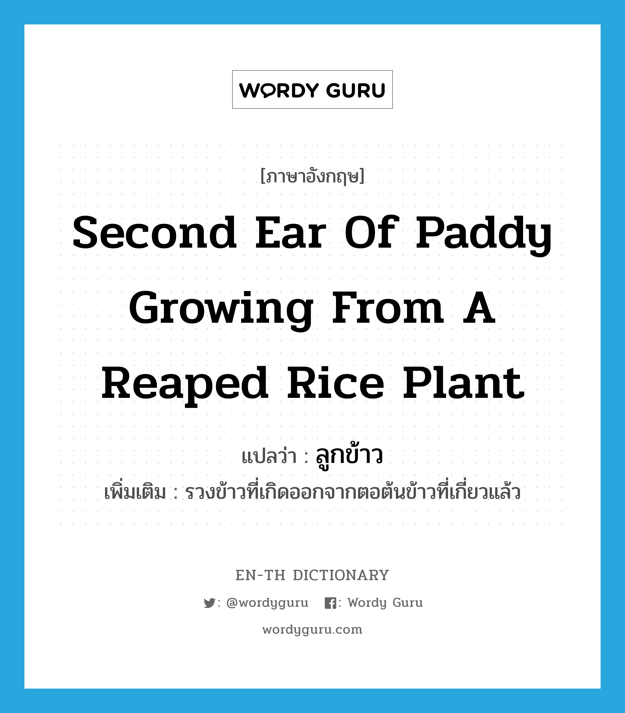 second ear of paddy growing from a reaped rice plant แปลว่า?, คำศัพท์ภาษาอังกฤษ second ear of paddy growing from a reaped rice plant แปลว่า ลูกข้าว ประเภท N เพิ่มเติม รวงข้าวที่เกิดออกจากตอต้นข้าวที่เกี่ยวแล้ว หมวด N