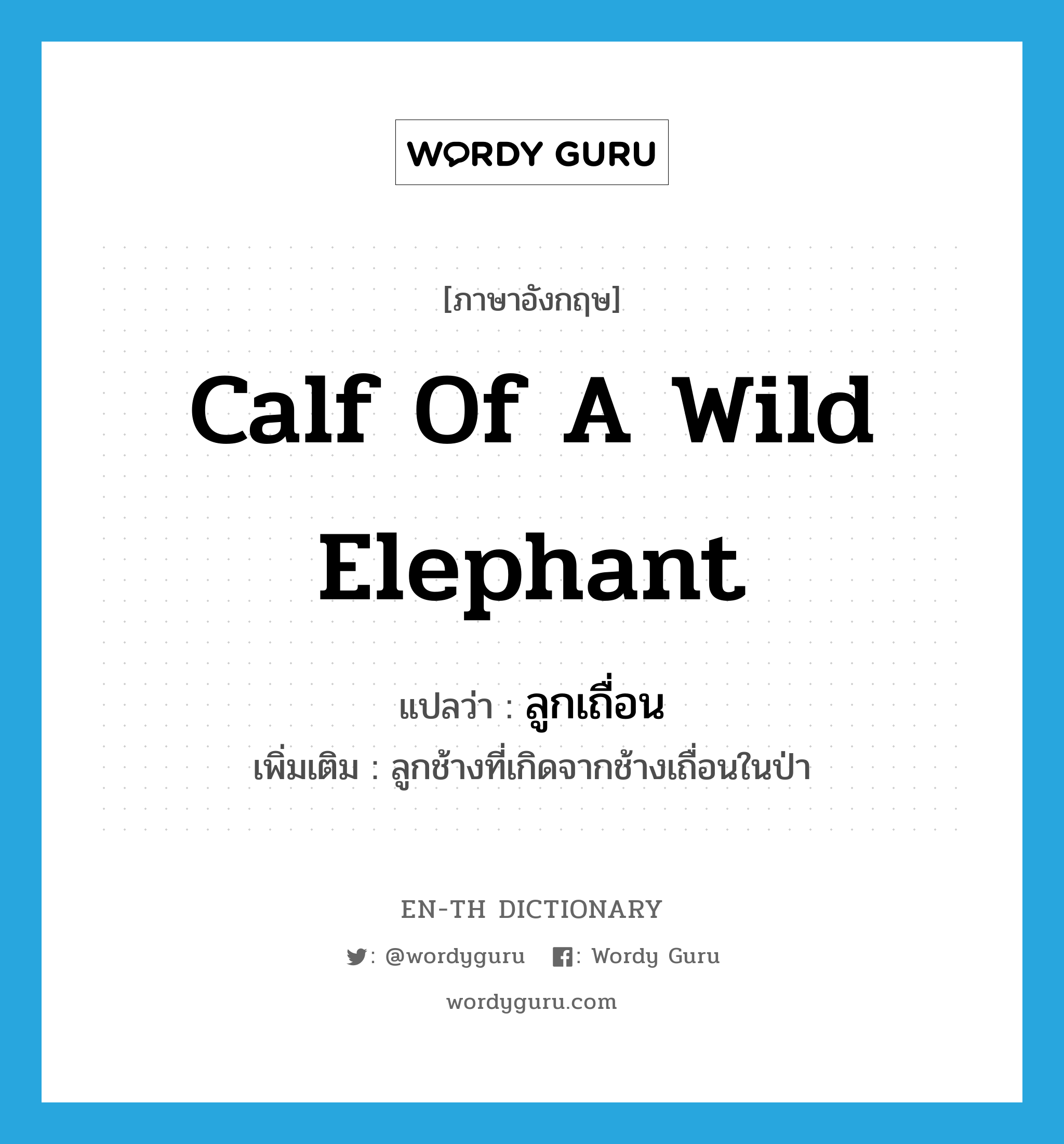 calf of a wild elephant แปลว่า?, คำศัพท์ภาษาอังกฤษ calf of a wild elephant แปลว่า ลูกเถื่อน ประเภท N เพิ่มเติม ลูกช้างที่เกิดจากช้างเถื่อนในป่า หมวด N