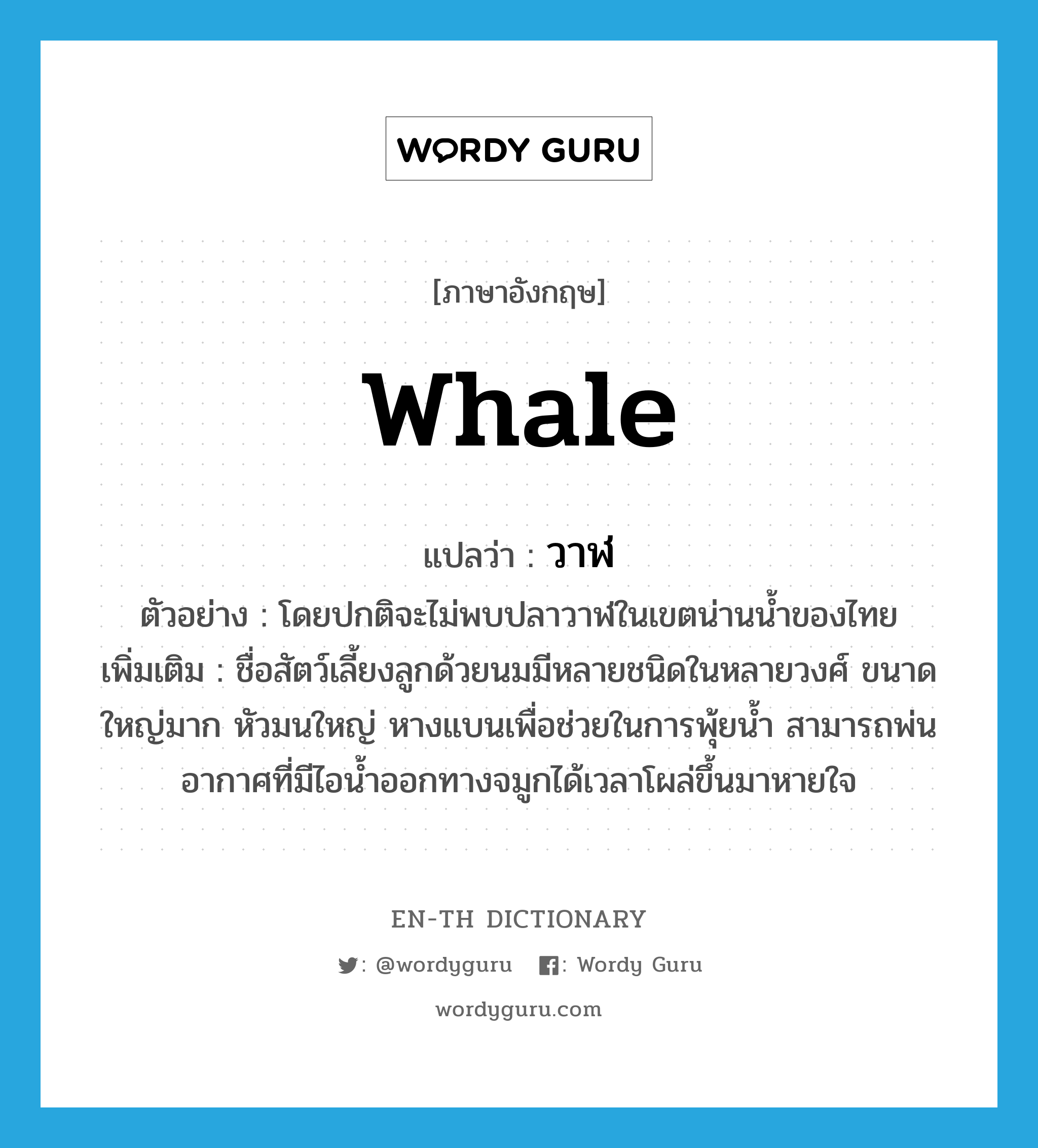 วาฬ ภาษาอังกฤษ?, คำศัพท์ภาษาอังกฤษ วาฬ แปลว่า whale ประเภท N ตัวอย่าง โดยปกติจะไม่พบปลาวาฬในเขตน่านน้ำของไทย เพิ่มเติม ชื่อสัตว์เลี้ยงลูกด้วยนมมีหลายชนิดในหลายวงศ์ ขนาดใหญ่มาก หัวมนใหญ่ หางแบนเพื่อช่วยในการพุ้ยน้ำ สามารถพ่นอากาศที่มีไอน้ำออกทางจมูกได้เวลาโผล่ขึ้นมาหายใจ หมวด N