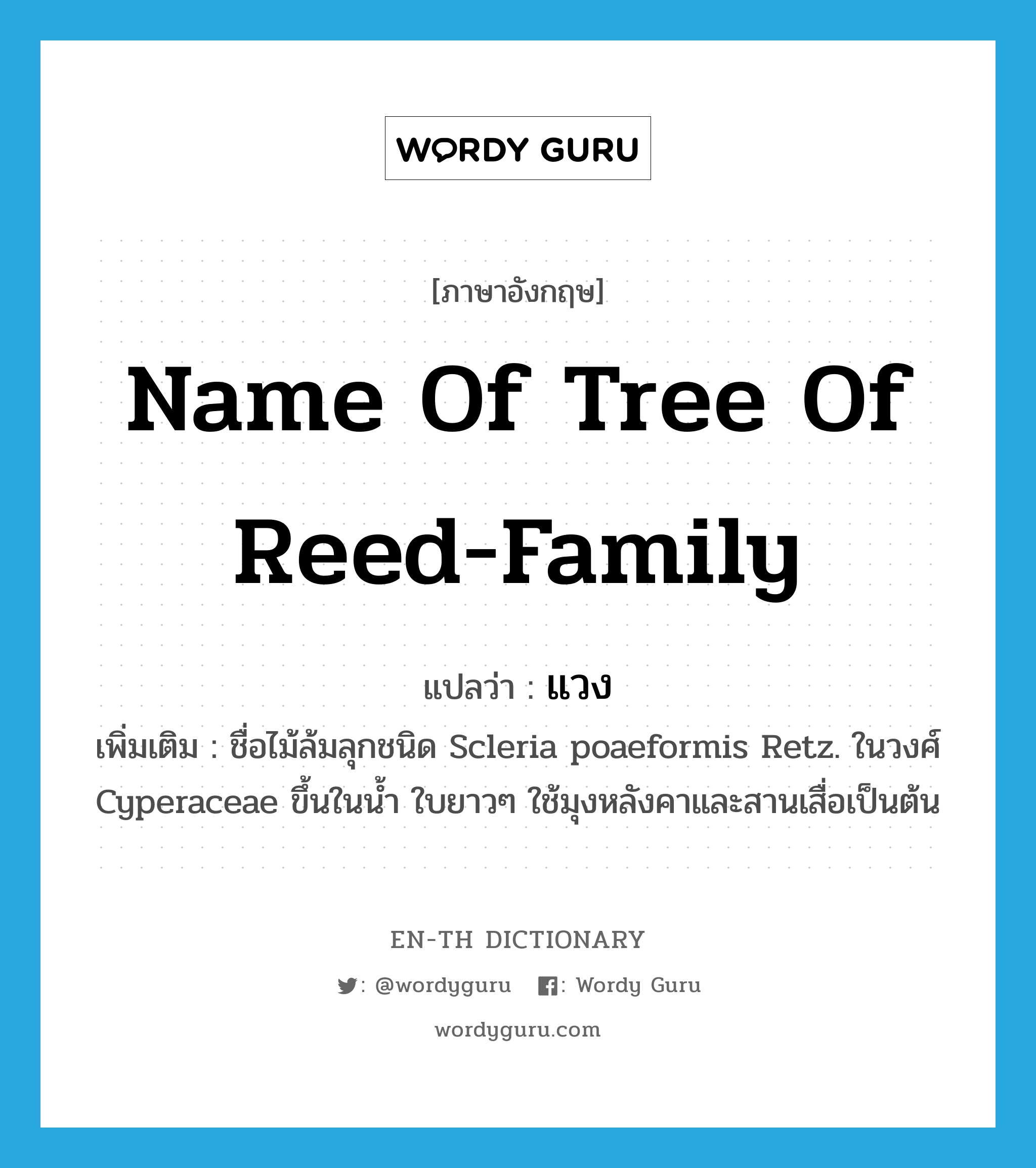 name of tree of reed-family แปลว่า?, คำศัพท์ภาษาอังกฤษ name of tree of reed-family แปลว่า แวง ประเภท N เพิ่มเติม ชื่อไม้ล้มลุกชนิด Scleria poaeformis Retz. ในวงศ์ Cyperaceae ขึ้นในน้ำ ใบยาวๆ ใช้มุงหลังคาและสานเสื่อเป็นต้น หมวด N