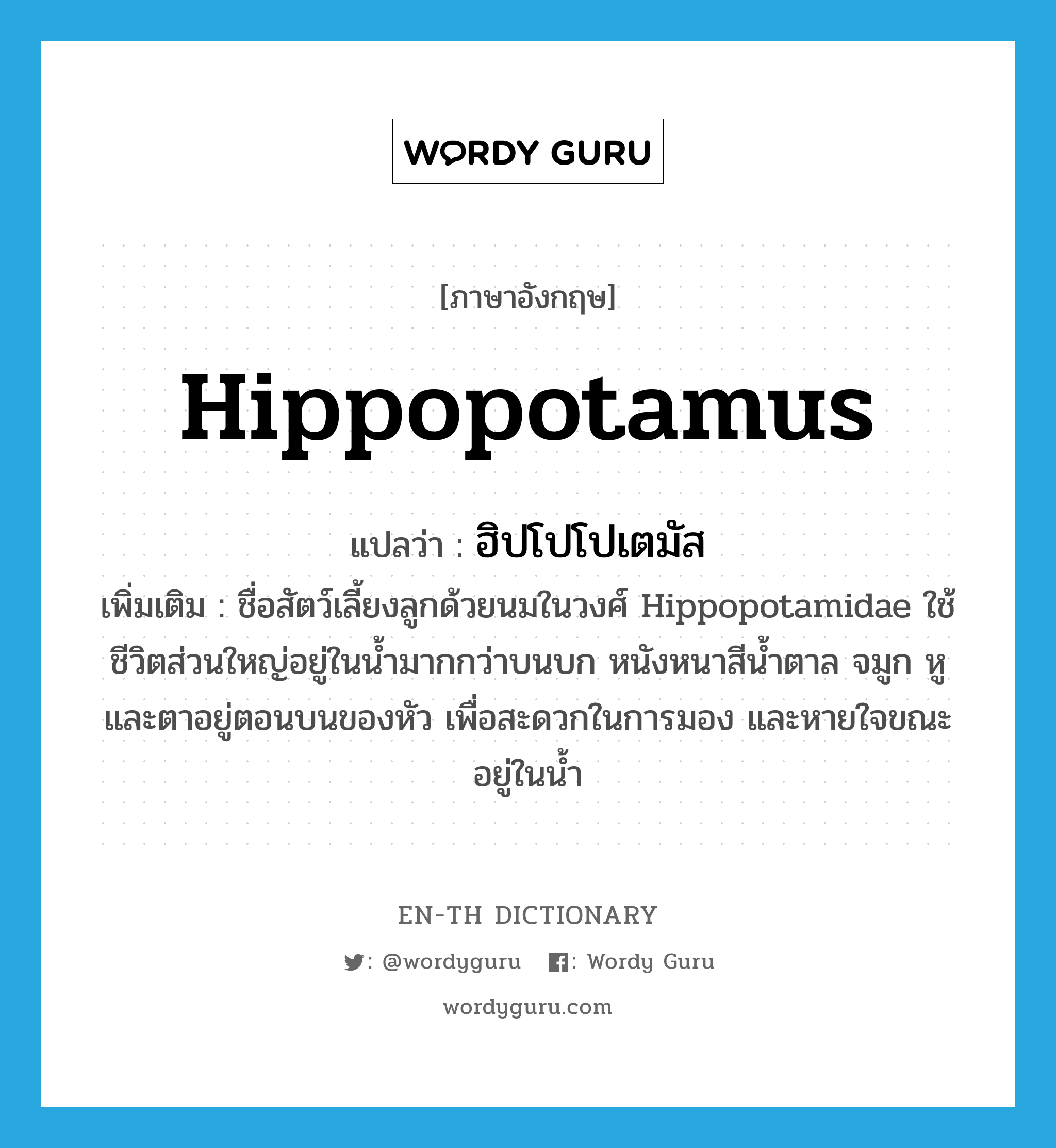 hippopotamus แปลว่า?, คำศัพท์ภาษาอังกฤษ hippopotamus แปลว่า ฮิปโปโปเตมัส ประเภท N เพิ่มเติม ชื่อสัตว์เลี้ยงลูกด้วยนมในวงศ์ Hippopotamidae ใช้ชีวิตส่วนใหญ่อยู่ในน้ำมากกว่าบนบก หนังหนาสีน้ำตาล จมูก หู และตาอยู่ตอนบนของหัว เพื่อสะดวกในการมอง และหายใจขณะอยู่ในน้ำ หมวด N