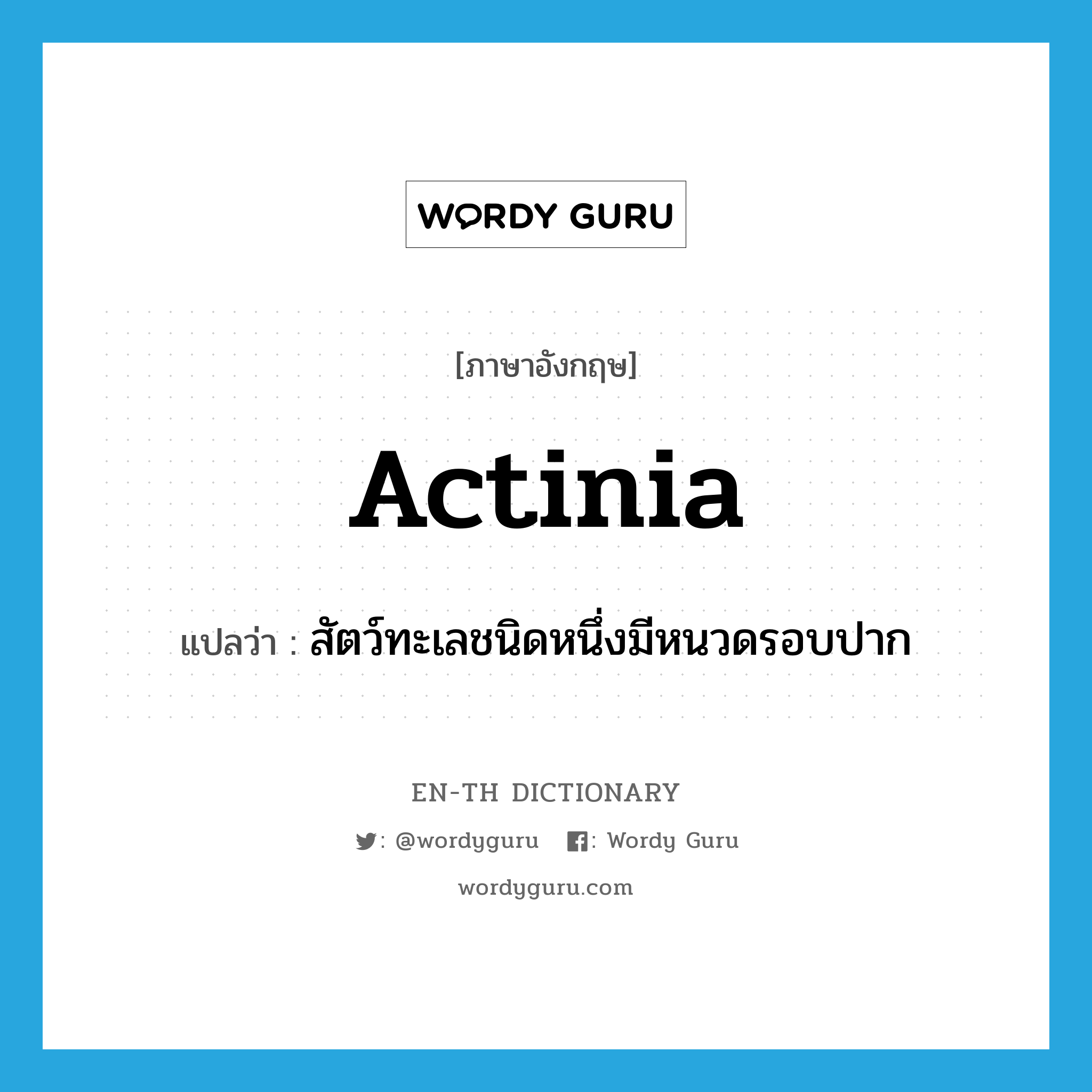 actinia แปลว่า?, คำศัพท์ภาษาอังกฤษ actinia แปลว่า สัตว์ทะเลชนิดหนึ่งมีหนวดรอบปาก ประเภท N หมวด N