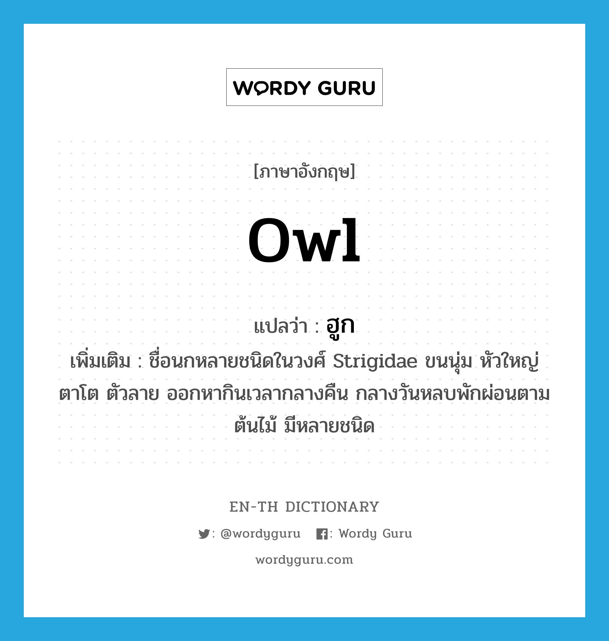 owl แปลว่า?, คำศัพท์ภาษาอังกฤษ owl แปลว่า ฮูก ประเภท N เพิ่มเติม ชื่อนกหลายชนิดในวงศ์ Strigidae ขนนุ่ม หัวใหญ่ ตาโต ตัวลาย ออกหากินเวลากลางคืน กลางวันหลบพักผ่อนตามต้นไม้ มีหลายชนิด หมวด N