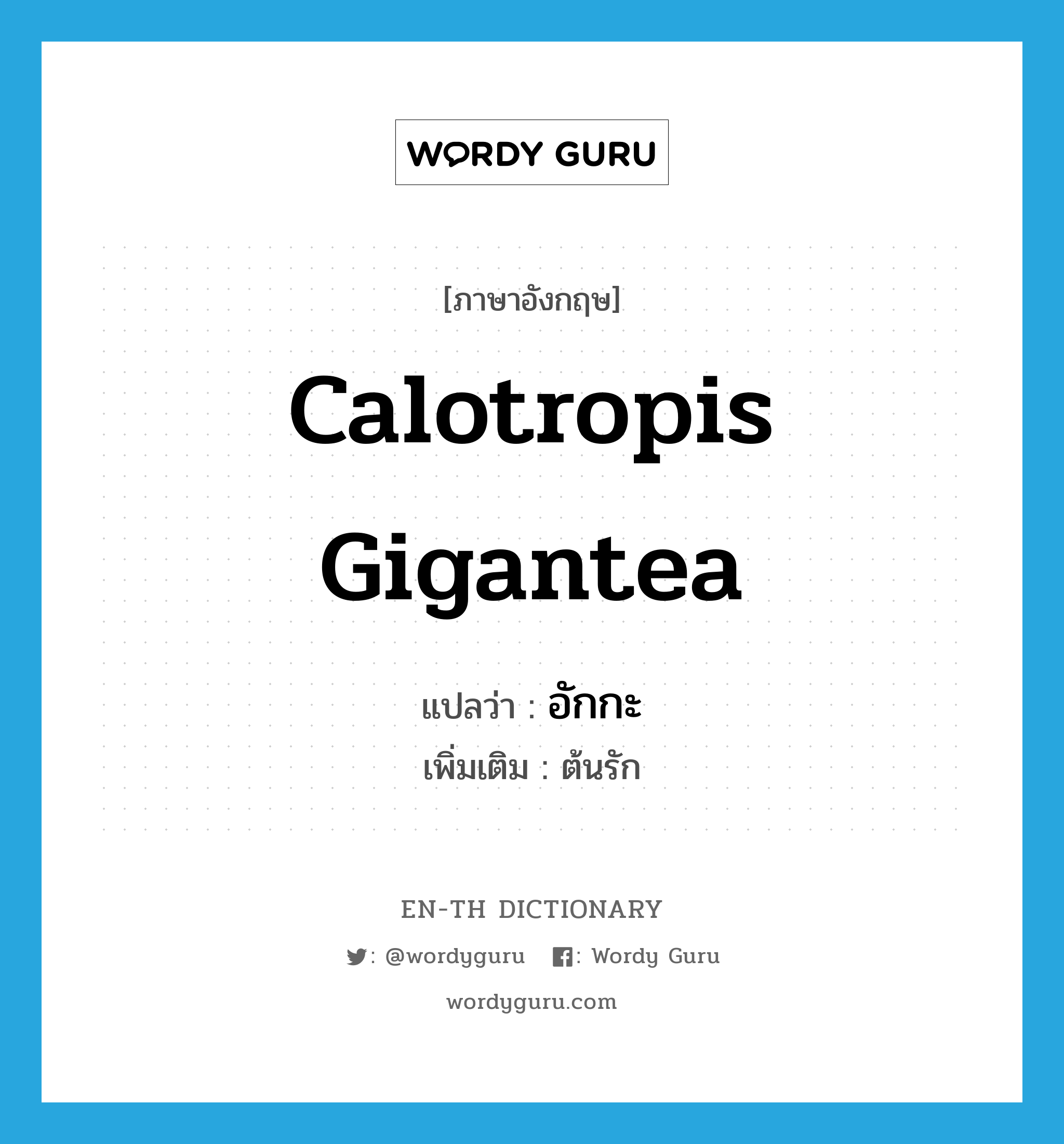 Calotropis gigantea แปลว่า?, คำศัพท์ภาษาอังกฤษ Calotropis gigantea แปลว่า อักกะ ประเภท N เพิ่มเติม ต้นรัก หมวด N