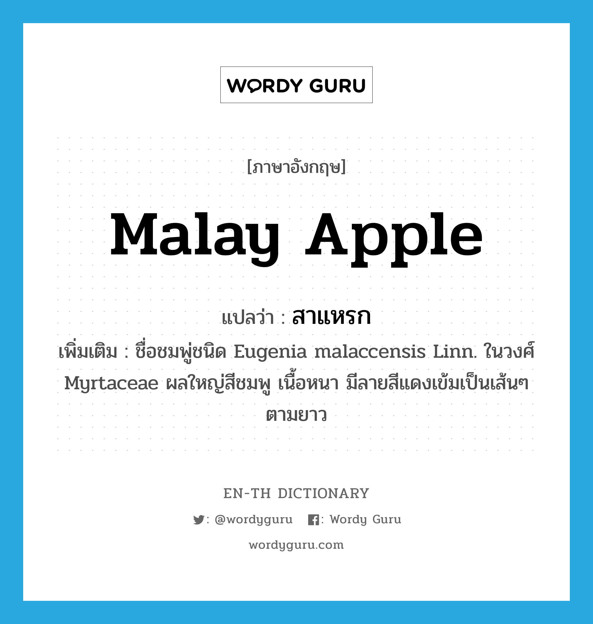 Malay apple แปลว่า?, คำศัพท์ภาษาอังกฤษ Malay apple แปลว่า สาแหรก ประเภท N เพิ่มเติม ชื่อชมพู่ชนิด Eugenia malaccensis Linn. ในวงศ์ Myrtaceae ผลใหญ่สีชมพู เนื้อหนา มีลายสีแดงเข้มเป็นเส้นๆ ตามยาว หมวด N