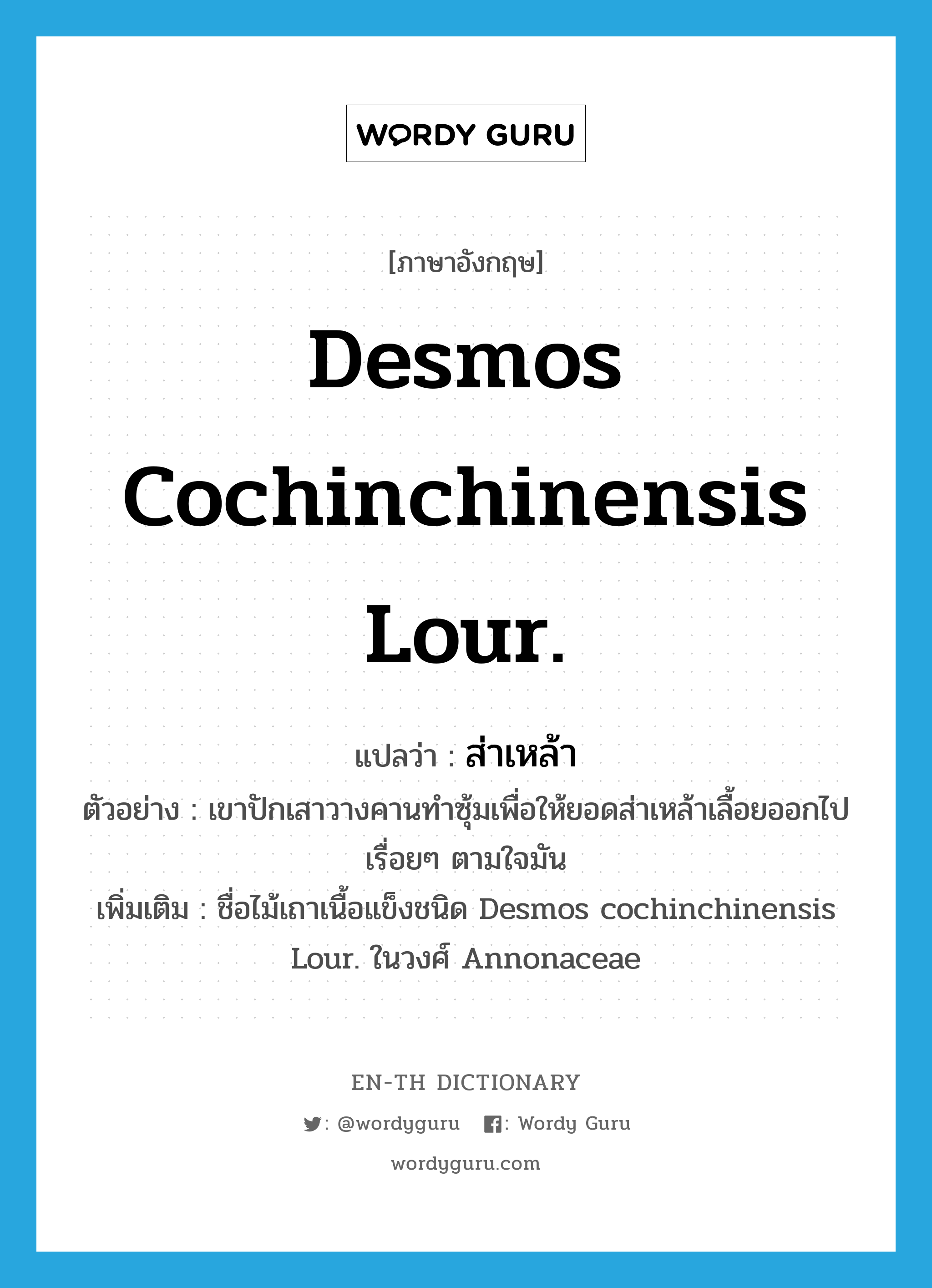 Desmos cochinchinensis Lour. แปลว่า?, คำศัพท์ภาษาอังกฤษ Desmos cochinchinensis Lour. แปลว่า ส่าเหล้า ประเภท N ตัวอย่าง เขาปักเสาวางคานทำซุ้มเพื่อให้ยอดส่าเหล้าเลื้อยออกไปเรื่อยๆ ตามใจมัน เพิ่มเติม ชื่อไม้เถาเนื้อแข็งชนิด Desmos cochinchinensis Lour. ในวงศ์ Annonaceae หมวด N