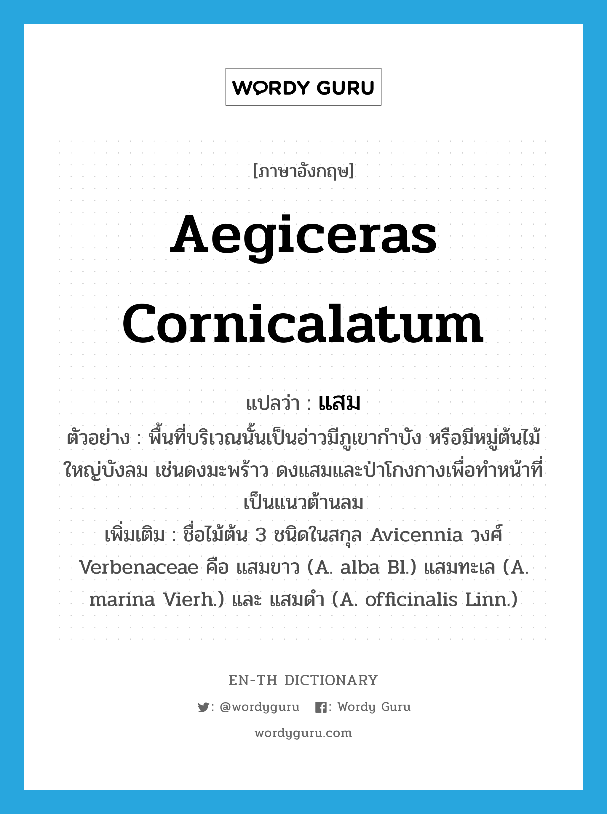 Aegiceras cornicalatum แปลว่า?, คำศัพท์ภาษาอังกฤษ Aegiceras cornicalatum แปลว่า แสม ประเภท N ตัวอย่าง พื้นที่บริเวณนั้นเป็นอ่าวมีภูเขากำบัง หรือมีหมู่ต้นไม้ใหญ่บังลม เช่นดงมะพร้าว ดงแสมและป่าโกงกางเพื่อทำหน้าที่เป็นแนวต้านลม เพิ่มเติม ชื่อไม้ต้น 3 ชนิดในสกุล Avicennia วงศ์ Verbenaceae คือ แสมขาว (A. alba Bl.) แสมทะเล (A. marina Vierh.) และ แสมดำ (A. officinalis Linn.) หมวด N