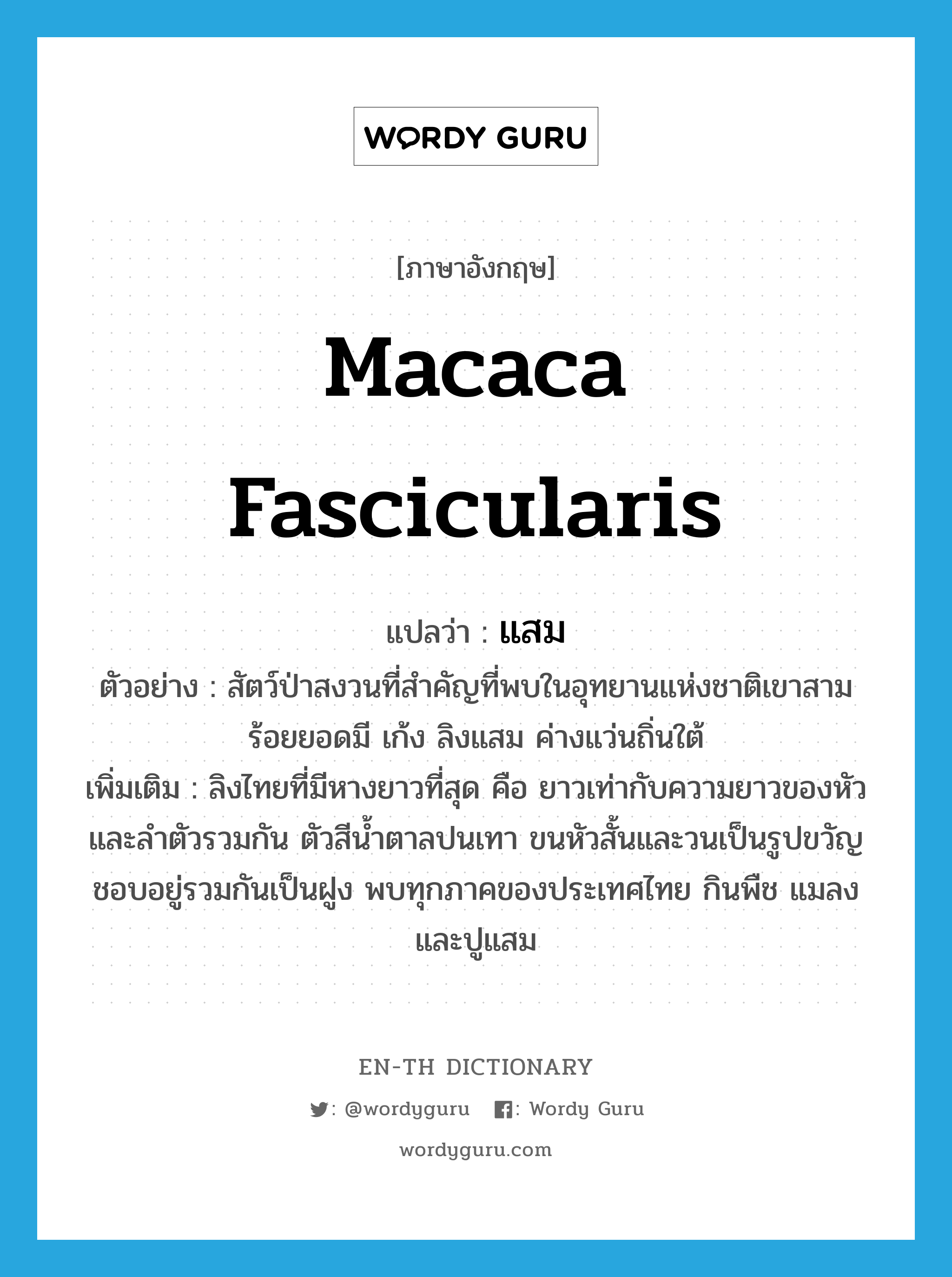 Macaca fascicularis แปลว่า?, คำศัพท์ภาษาอังกฤษ Macaca fascicularis แปลว่า แสม ประเภท N ตัวอย่าง สัตว์ป่าสงวนที่สำคัญที่พบในอุทยานแห่งชาติเขาสามร้อยยอดมี เก้ง ลิงแสม ค่างแว่นถิ่นใต้ เพิ่มเติม ลิงไทยที่มีหางยาวที่สุด คือ ยาวเท่ากับความยาวของหัวและลำตัวรวมกัน ตัวสีน้ำตาลปนเทา ขนหัวสั้นและวนเป็นรูปขวัญ ชอบอยู่รวมกันเป็นฝูง พบทุกภาคของประเทศไทย กินพืช แมลง และปูแสม หมวด N