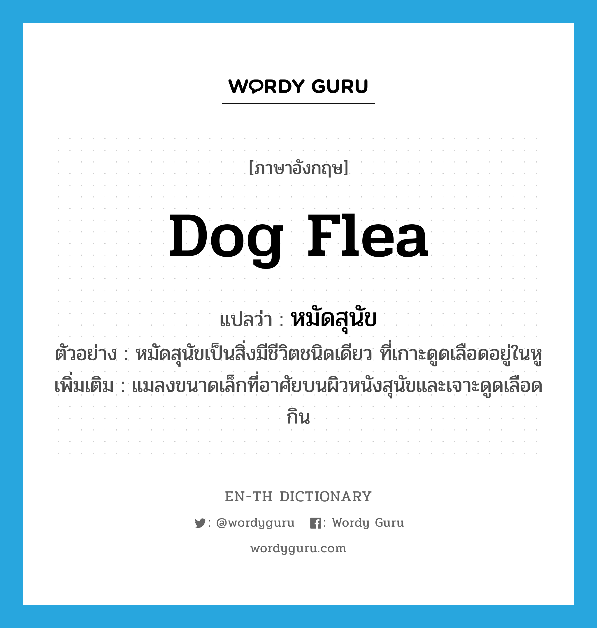หมัดสุนัข ภาษาอังกฤษ?, คำศัพท์ภาษาอังกฤษ หมัดสุนัข แปลว่า dog flea ประเภท N ตัวอย่าง หมัดสุนัขเป็นสิ่งมีชีวิตชนิดเดียว ที่เกาะดูดเลือดอยู่ในหู เพิ่มเติม แมลงขนาดเล็กที่อาศัยบนผิวหนังสุนัขและเจาะดูดเลือดกิน หมวด N
