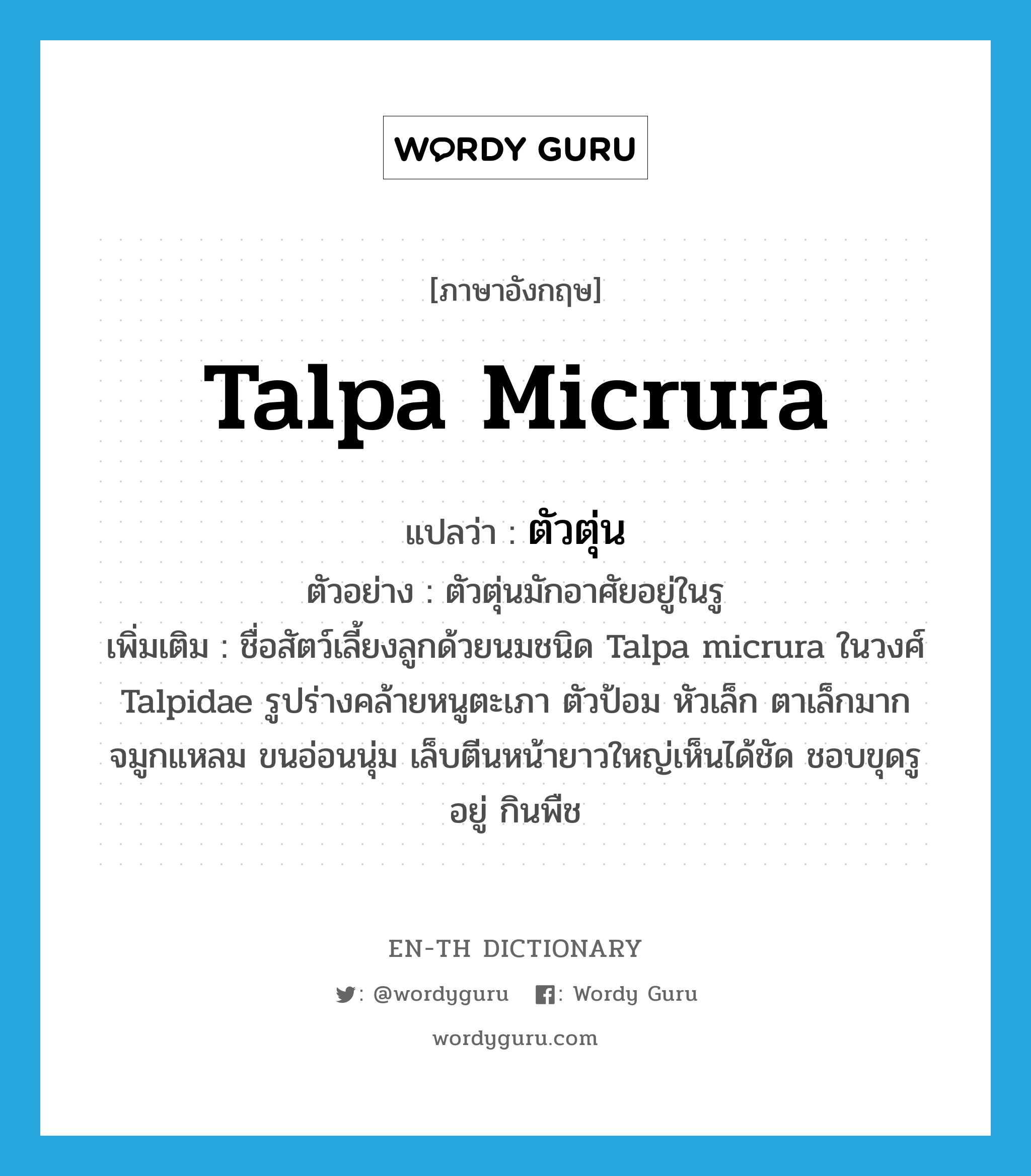 Talpa micrura แปลว่า?, คำศัพท์ภาษาอังกฤษ Talpa micrura แปลว่า ตัวตุ่น ประเภท N ตัวอย่าง ตัวตุ่นมักอาศัยอยู่ในรู เพิ่มเติม ชื่อสัตว์เลี้ยงลูกด้วยนมชนิด Talpa micrura ในวงศ์ Talpidae รูปร่างคล้ายหนูตะเภา ตัวป้อม หัวเล็ก ตาเล็กมาก จมูกแหลม ขนอ่อนนุ่ม เล็บตีนหน้ายาวใหญ่เห็นได้ชัด ชอบขุดรูอยู่ กินพืช หมวด N