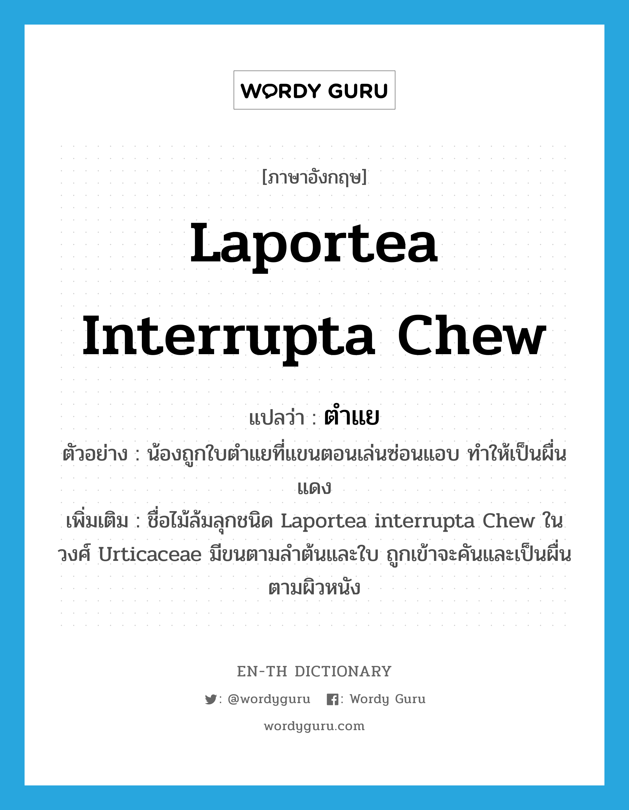 Laportea interrupta Chew แปลว่า?, คำศัพท์ภาษาอังกฤษ Laportea interrupta Chew แปลว่า ตำแย ประเภท N ตัวอย่าง น้องถูกใบตำแยที่แขนตอนเล่นซ่อนแอบ ทำให้เป็นผื่นแดง เพิ่มเติม ชื่อไม้ล้มลุกชนิด Laportea interrupta Chew ในวงศ์ Urticaceae มีขนตามลำต้นและใบ ถูกเข้าจะคันและเป็นผื่นตามผิวหนัง หมวด N