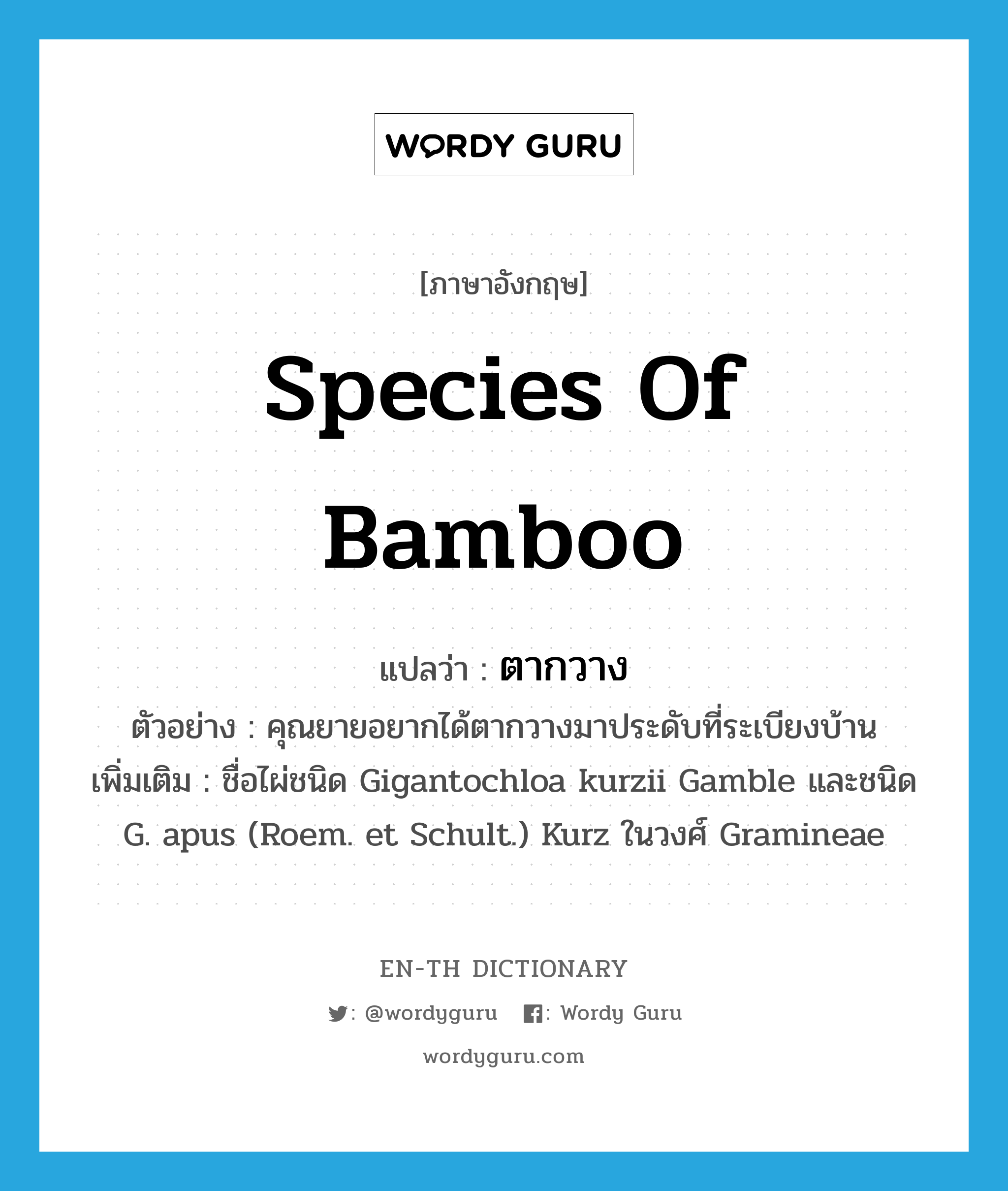 species of bamboo แปลว่า?, คำศัพท์ภาษาอังกฤษ species of bamboo แปลว่า ตากวาง ประเภท N ตัวอย่าง คุณยายอยากได้ตากวางมาประดับที่ระเบียงบ้าน เพิ่มเติม ชื่อไผ่ชนิด Gigantochloa kurzii Gamble และชนิด G. apus (Roem. et Schult.) Kurz ในวงศ์ Gramineae หมวด N