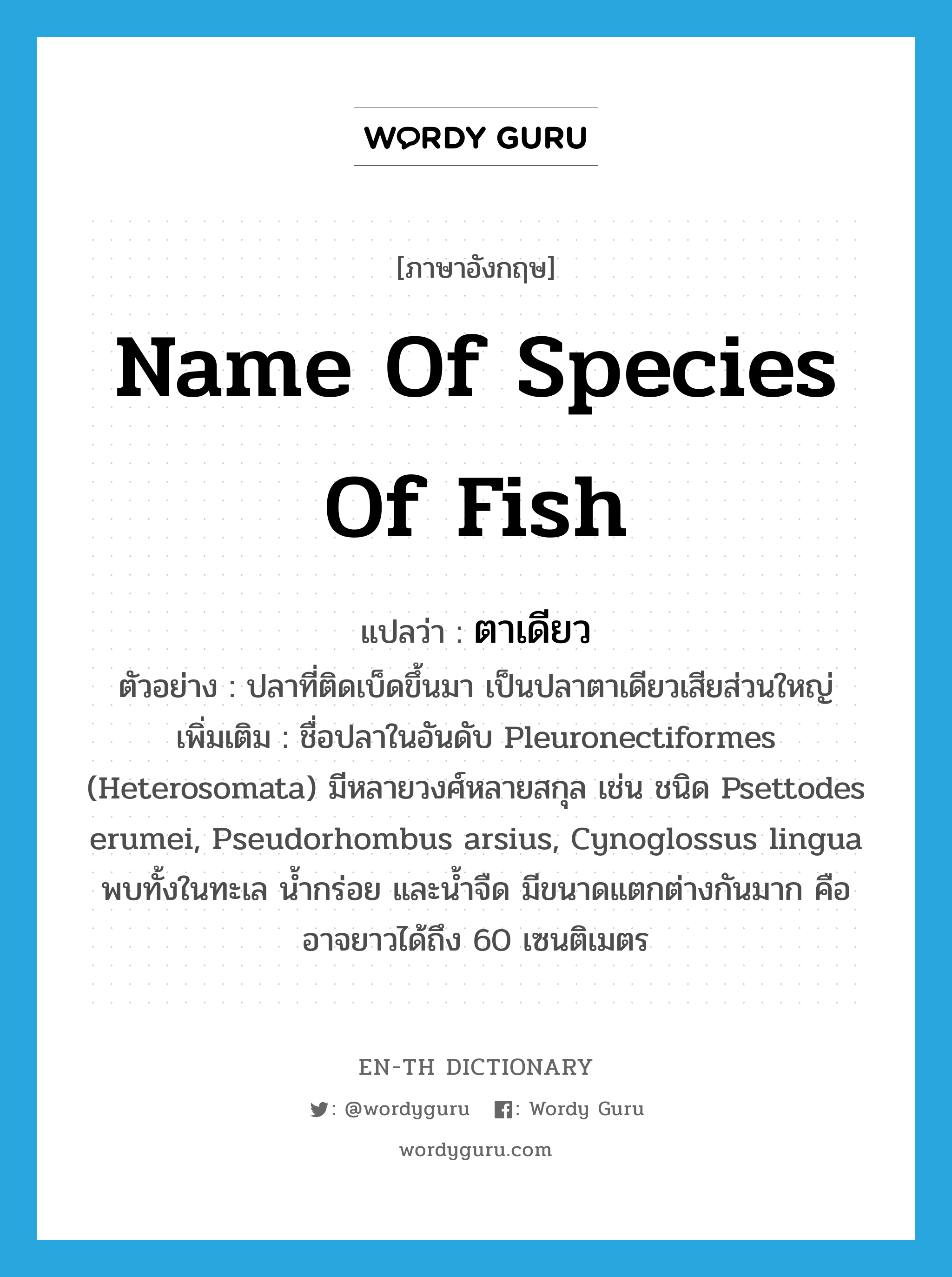 name of species of fish แปลว่า?, คำศัพท์ภาษาอังกฤษ name of species of fish แปลว่า ตาเดียว ประเภท N ตัวอย่าง ปลาที่ติดเบ็ดขึ้นมา เป็นปลาตาเดียวเสียส่วนใหญ่ เพิ่มเติม ชื่อปลาในอันดับ Pleuronectiformes (Heterosomata) มีหลายวงศ์หลายสกุล เช่น ชนิด Psettodes erumei, Pseudorhombus arsius, Cynoglossus lingua พบทั้งในทะเล น้ำกร่อย และน้ำจืด มีขนาดแตกต่างกันมาก คืออาจยาวได้ถึง 60 เซนติเมตร หมวด N
