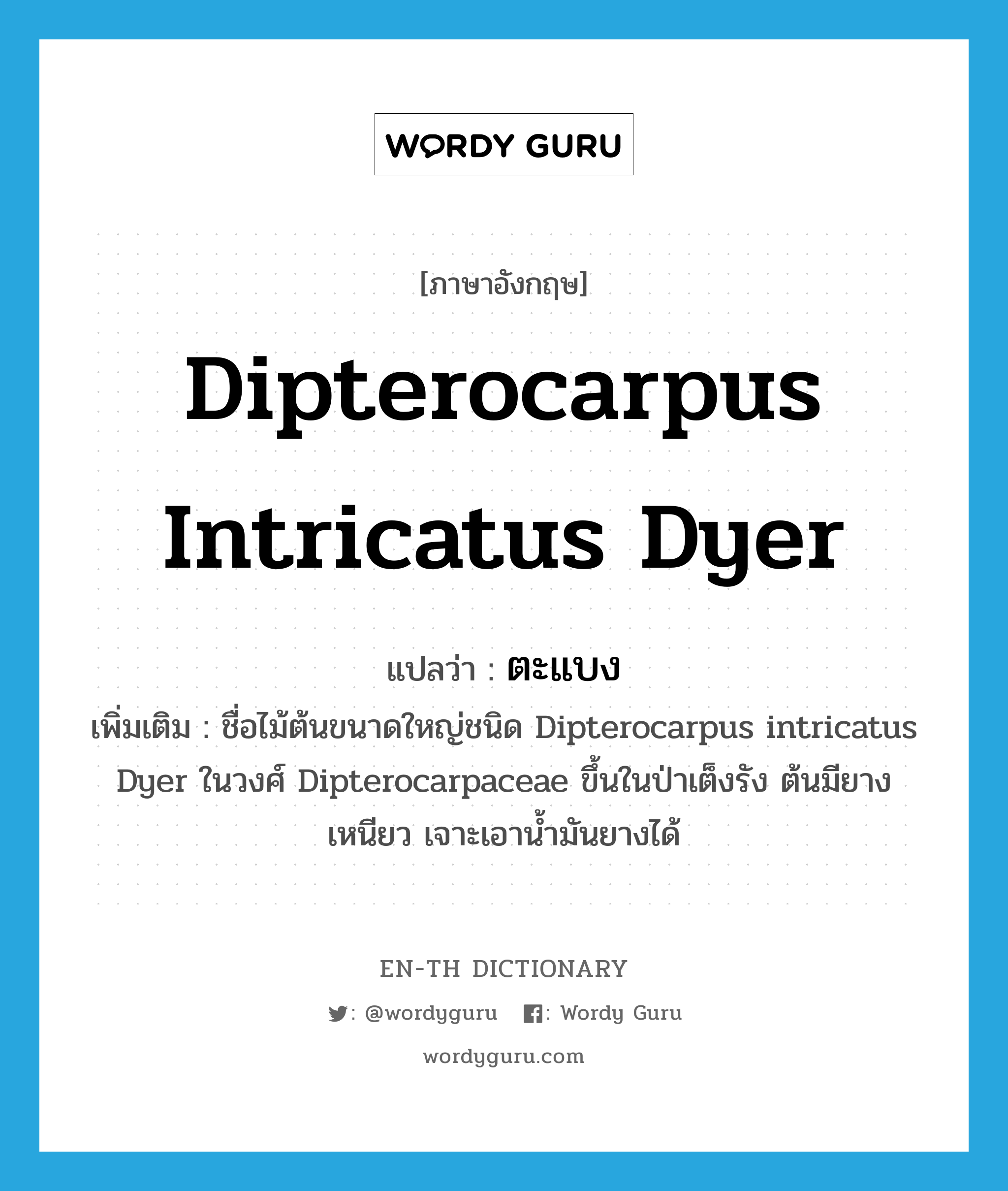 Dipterocarpus intricatus Dyer แปลว่า?, คำศัพท์ภาษาอังกฤษ Dipterocarpus intricatus Dyer แปลว่า ตะแบง ประเภท N เพิ่มเติม ชื่อไม้ต้นขนาดใหญ่ชนิด Dipterocarpus intricatus Dyer ในวงศ์ Dipterocarpaceae ขึ้นในป่าเต็งรัง ต้นมียางเหนียว เจาะเอาน้ำมันยางได้ หมวด N