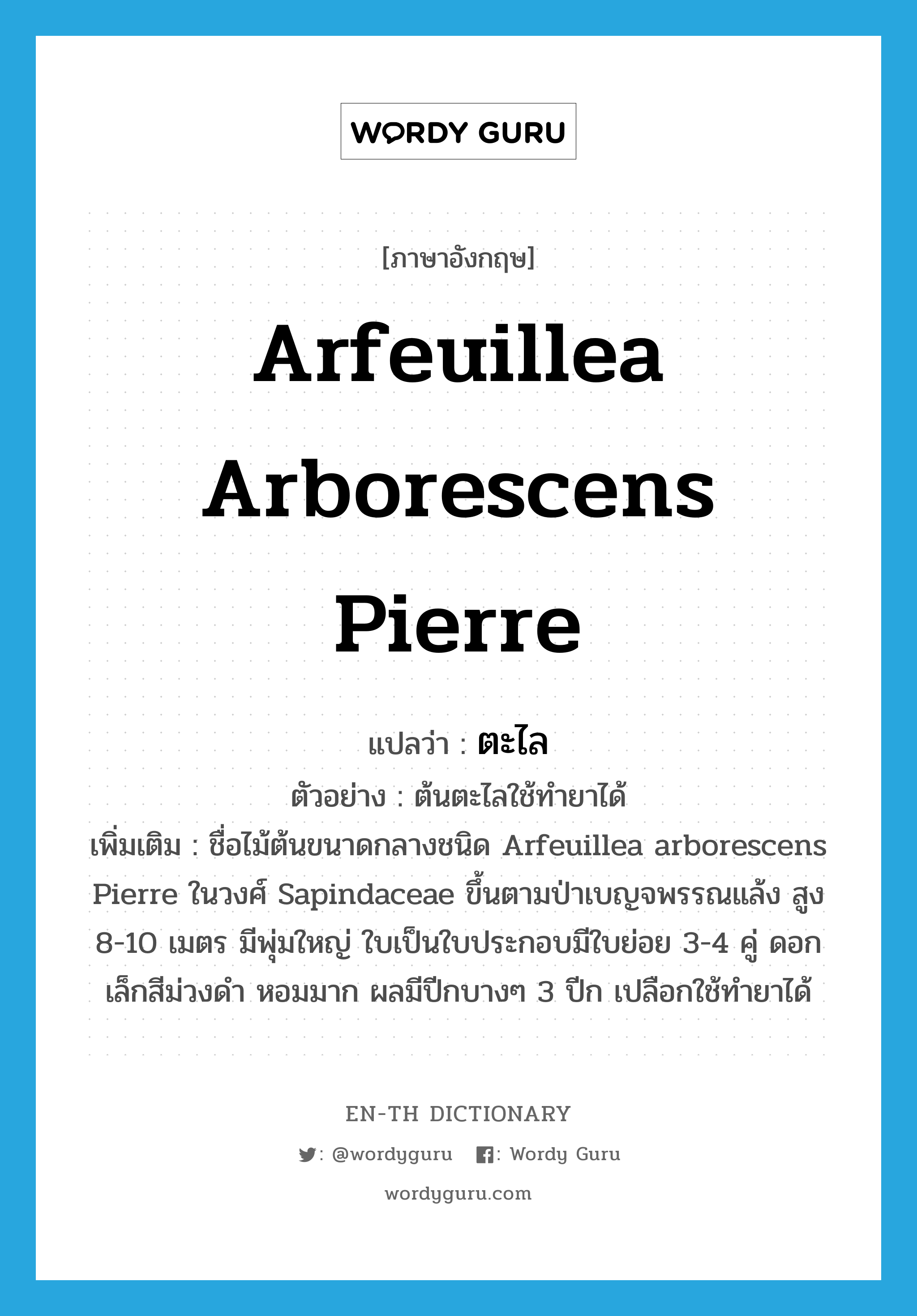 ตะไล ภาษาอังกฤษ?, คำศัพท์ภาษาอังกฤษ ตะไล แปลว่า Arfeuillea arborescens Pierre ประเภท N ตัวอย่าง ต้นตะไลใช้ทำยาได้ เพิ่มเติม ชื่อไม้ต้นขนาดกลางชนิด Arfeuillea arborescens Pierre ในวงศ์ Sapindaceae ขึ้นตามป่าเบญจพรรณแล้ง สูง 8-10 เมตร มีพุ่มใหญ่ ใบเป็นใบประกอบมีใบย่อย 3-4 คู่ ดอกเล็กสีม่วงดำ หอมมาก ผลมีปีกบางๆ 3 ปีก เปลือกใช้ทำยาได้ หมวด N