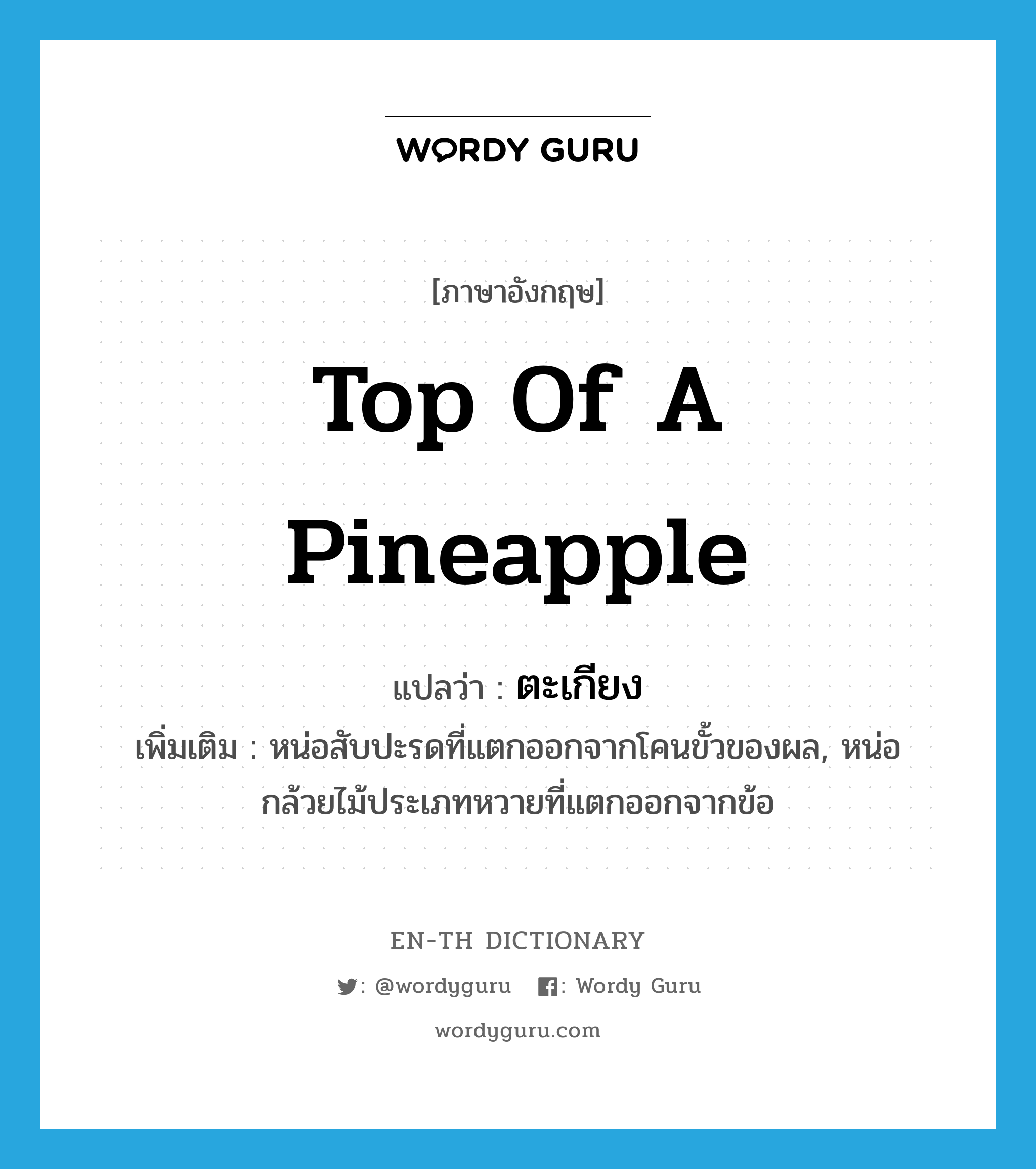 top of a pineapple แปลว่า?, คำศัพท์ภาษาอังกฤษ top of a pineapple แปลว่า ตะเกียง ประเภท N เพิ่มเติม หน่อสับปะรดที่แตกออกจากโคนขั้วของผล, หน่อกล้วยไม้ประเภทหวายที่แตกออกจากข้อ หมวด N