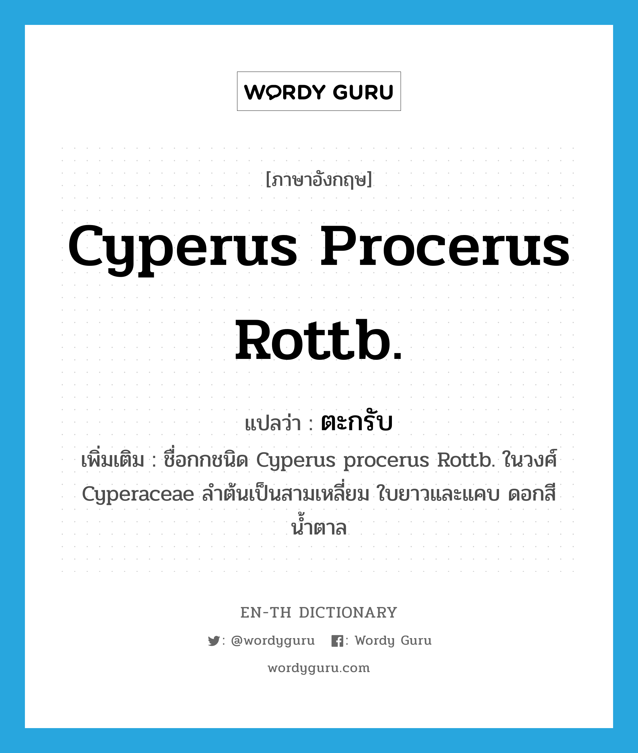 Cyperus procerus Rottb. แปลว่า?, คำศัพท์ภาษาอังกฤษ Cyperus procerus Rottb. แปลว่า ตะกรับ ประเภท N เพิ่มเติม ชื่อกกชนิด Cyperus procerus Rottb. ในวงศ์ Cyperaceae ลำต้นเป็นสามเหลี่ยม ใบยาวและแคบ ดอกสีน้ำตาล หมวด N