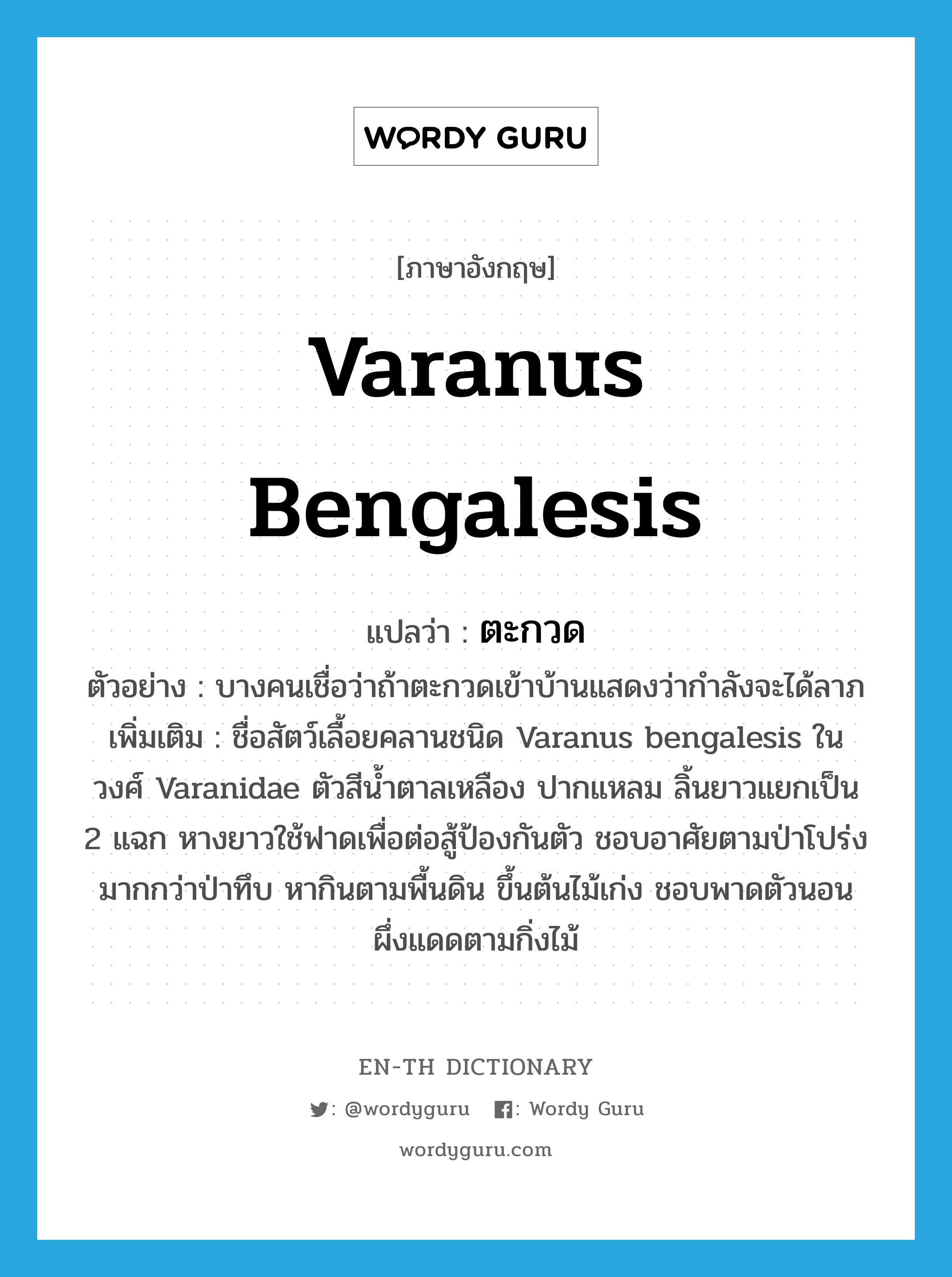 Varanus bengalesis แปลว่า?, คำศัพท์ภาษาอังกฤษ Varanus bengalesis แปลว่า ตะกวด ประเภท N ตัวอย่าง บางคนเชื่อว่าถ้าตะกวดเข้าบ้านแสดงว่ากำลังจะได้ลาภ เพิ่มเติม ชื่อสัตว์เลื้อยคลานชนิด Varanus bengalesis ในวงศ์ Varanidae ตัวสีน้ำตาลเหลือง ปากแหลม ลิ้นยาวแยกเป็น 2 แฉก หางยาวใช้ฟาดเพื่อต่อสู้ป้องกันตัว ชอบอาศัยตามป่าโปร่งมากกว่าป่าทึบ หากินตามพื้นดิน ขึ้นต้นไม้เก่ง ชอบพาดตัวนอนผึ่งแดดตามกิ่งไม้ หมวด N
