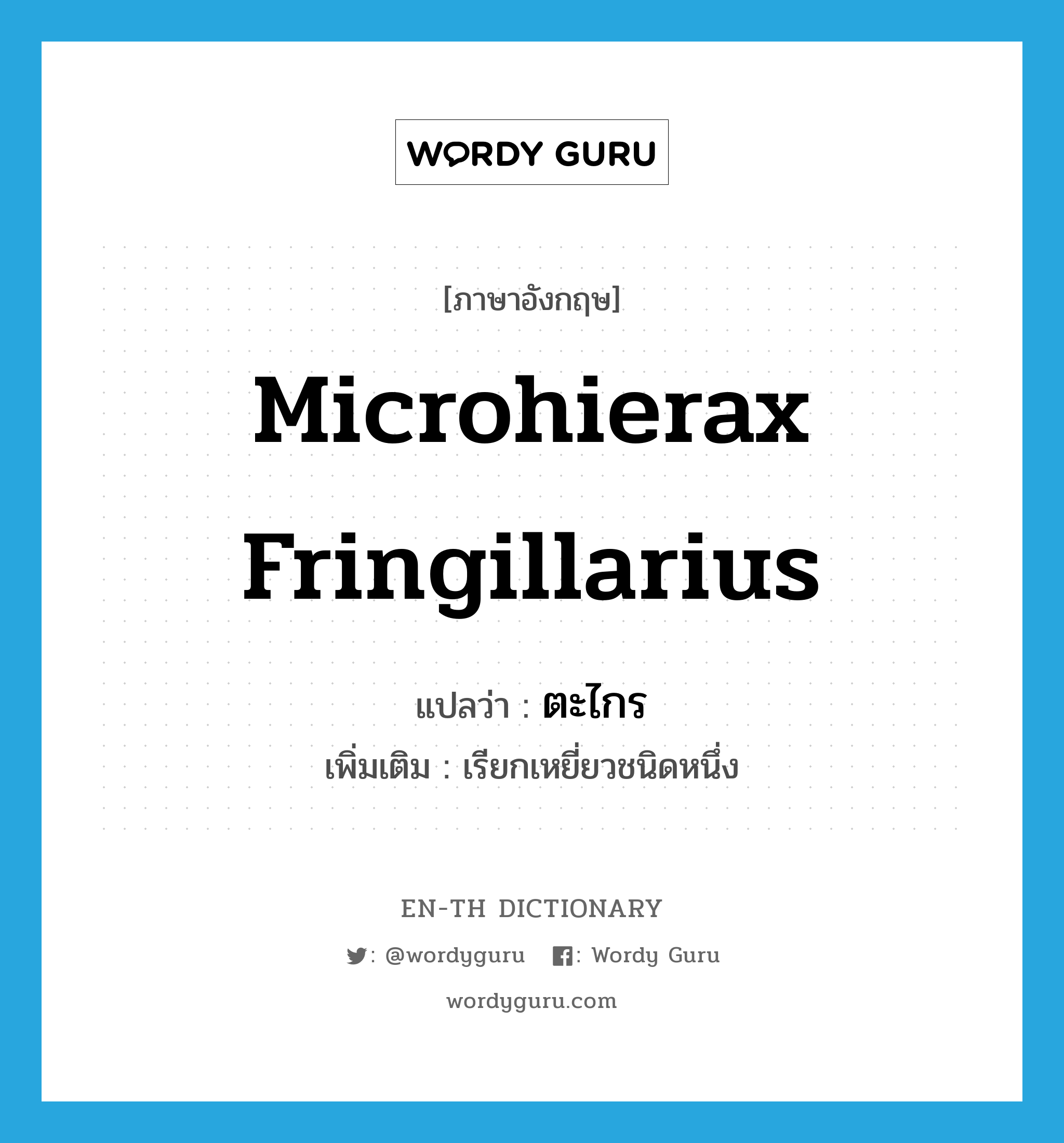 Microhierax fringillarius แปลว่า?, คำศัพท์ภาษาอังกฤษ Microhierax fringillarius แปลว่า ตะไกร ประเภท N เพิ่มเติม เรียกเหยี่ยวชนิดหนึ่ง หมวด N
