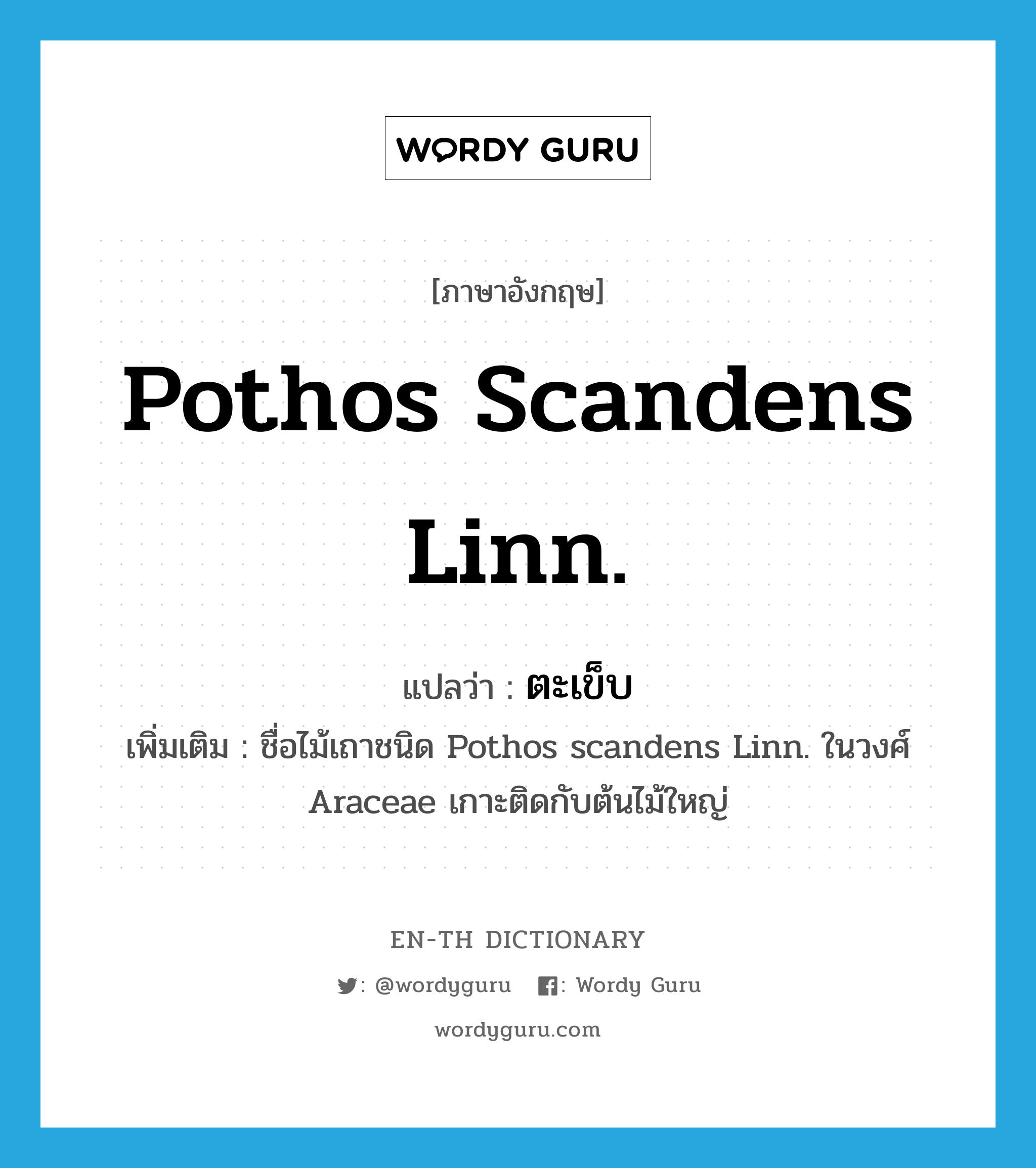 ตะเข็บ ภาษาอังกฤษ?, คำศัพท์ภาษาอังกฤษ ตะเข็บ แปลว่า Pothos scandens Linn. ประเภท N เพิ่มเติม ชื่อไม้เถาชนิด Pothos scandens Linn. ในวงศ์ Araceae เกาะติดกับต้นไม้ใหญ่ หมวด N