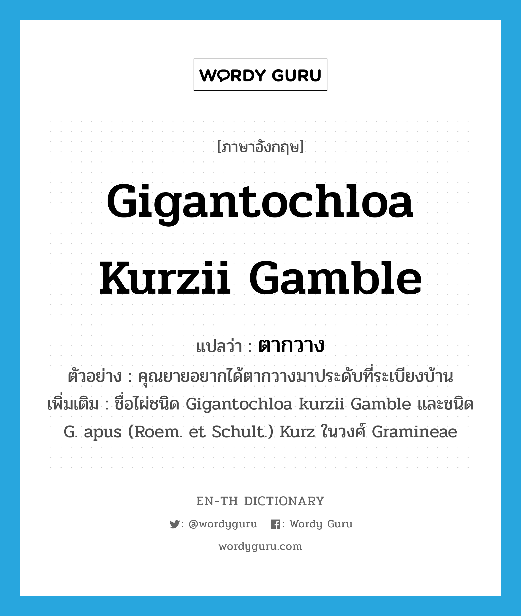 Gigantochloa kurzii Gamble แปลว่า?, คำศัพท์ภาษาอังกฤษ Gigantochloa kurzii Gamble แปลว่า ตากวาง ประเภท N ตัวอย่าง คุณยายอยากได้ตากวางมาประดับที่ระเบียงบ้าน เพิ่มเติม ชื่อไผ่ชนิด Gigantochloa kurzii Gamble และชนิด G. apus (Roem. et Schult.) Kurz ในวงศ์ Gramineae หมวด N