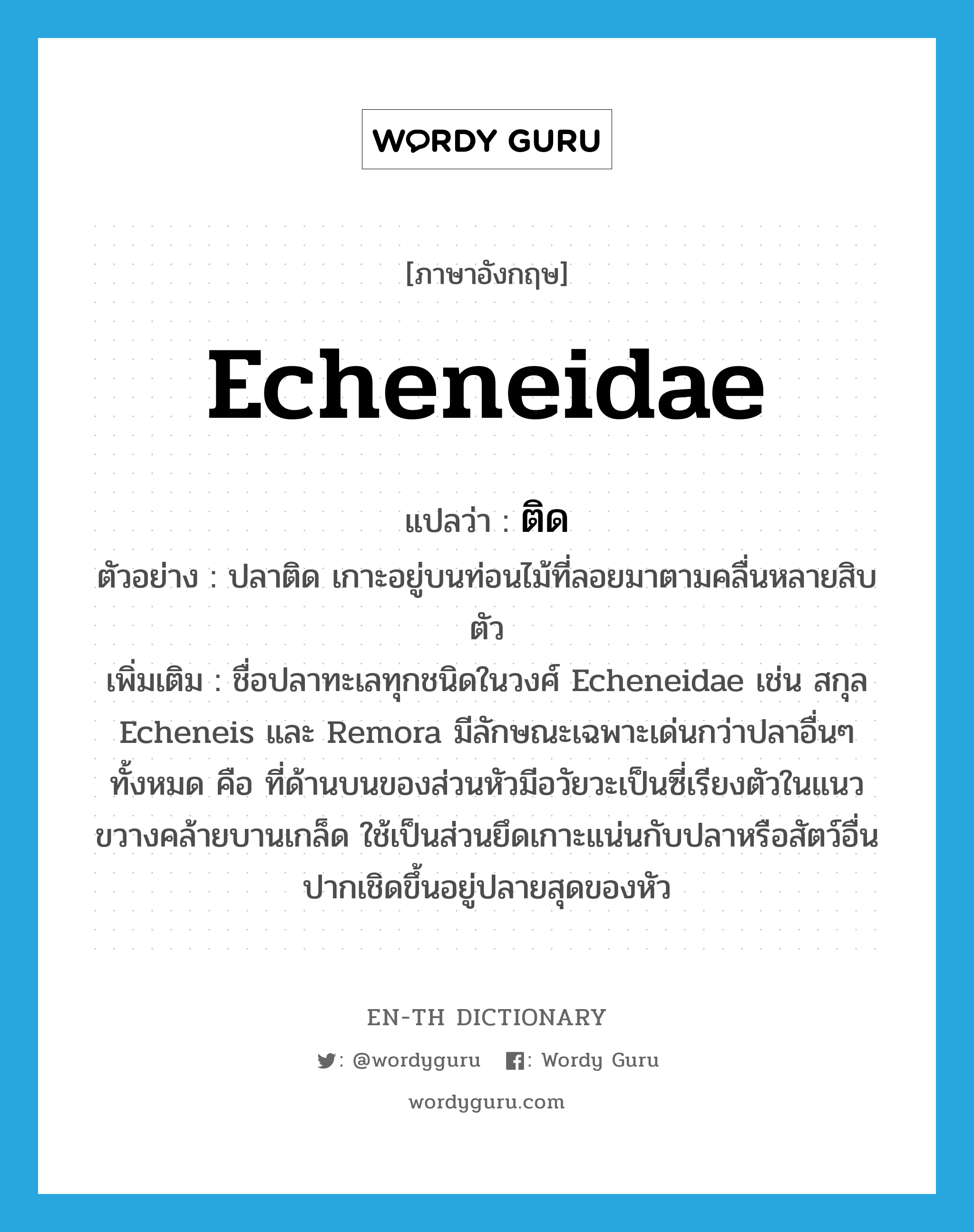 Echeneidae แปลว่า?, คำศัพท์ภาษาอังกฤษ Echeneidae แปลว่า ติด ประเภท N ตัวอย่าง ปลาติด เกาะอยู่บนท่อนไม้ที่ลอยมาตามคลื่นหลายสิบตัว เพิ่มเติม ชื่อปลาทะเลทุกชนิดในวงศ์ Echeneidae เช่น สกุล Echeneis และ Remora มีลักษณะเฉพาะเด่นกว่าปลาอื่นๆ ทั้งหมด คือ ที่ด้านบนของส่วนหัวมีอวัยวะเป็นซี่เรียงตัวในแนวขวางคล้ายบานเกล็ด ใช้เป็นส่วนยึดเกาะแน่นกับปลาหรือสัตว์อื่น ปากเชิดขึ้นอยู่ปลายสุดของหัว หมวด N