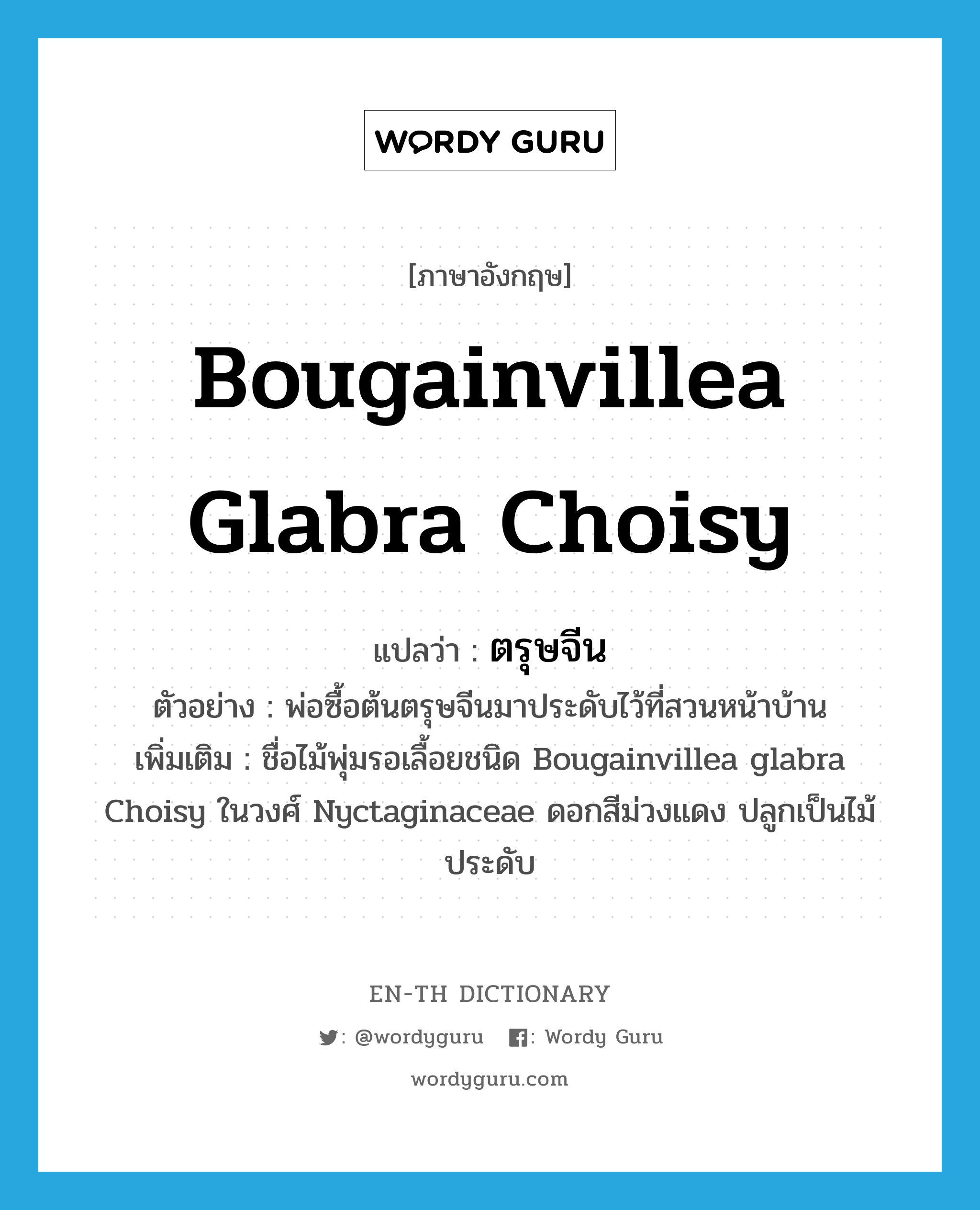 Bougainvillea glabra Choisy แปลว่า?, คำศัพท์ภาษาอังกฤษ Bougainvillea glabra Choisy แปลว่า ตรุษจีน ประเภท N ตัวอย่าง พ่อซื้อต้นตรุษจีนมาประดับไว้ที่สวนหน้าบ้าน เพิ่มเติม ชื่อไม้พุ่มรอเลื้อยชนิด Bougainvillea glabra Choisy ในวงศ์ Nyctaginaceae ดอกสีม่วงแดง ปลูกเป็นไม้ประดับ หมวด N