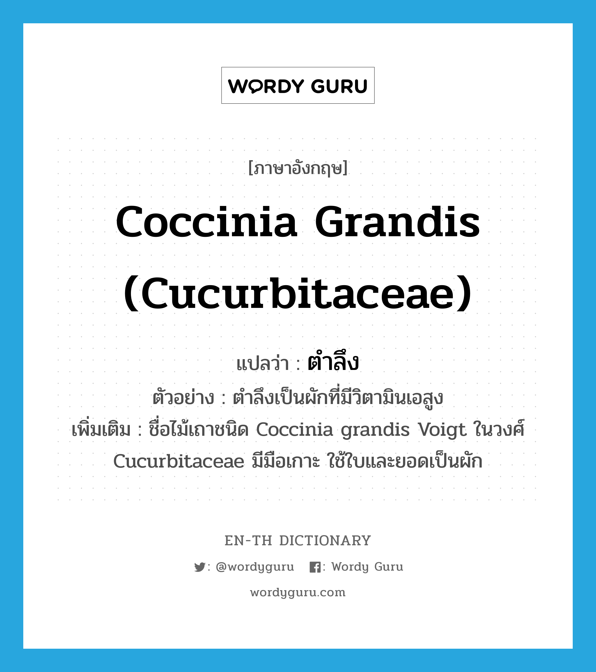 ตำลึง ภาษาอังกฤษ?, คำศัพท์ภาษาอังกฤษ ตำลึง แปลว่า Coccinia grandis (Cucurbitaceae) ประเภท N ตัวอย่าง ตำลึงเป็นผักที่มีวิตามินเอสูง เพิ่มเติม ชื่อไม้เถาชนิด Coccinia grandis Voigt ในวงศ์ Cucurbitaceae มีมือเกาะ ใช้ใบและยอดเป็นผัก หมวด N