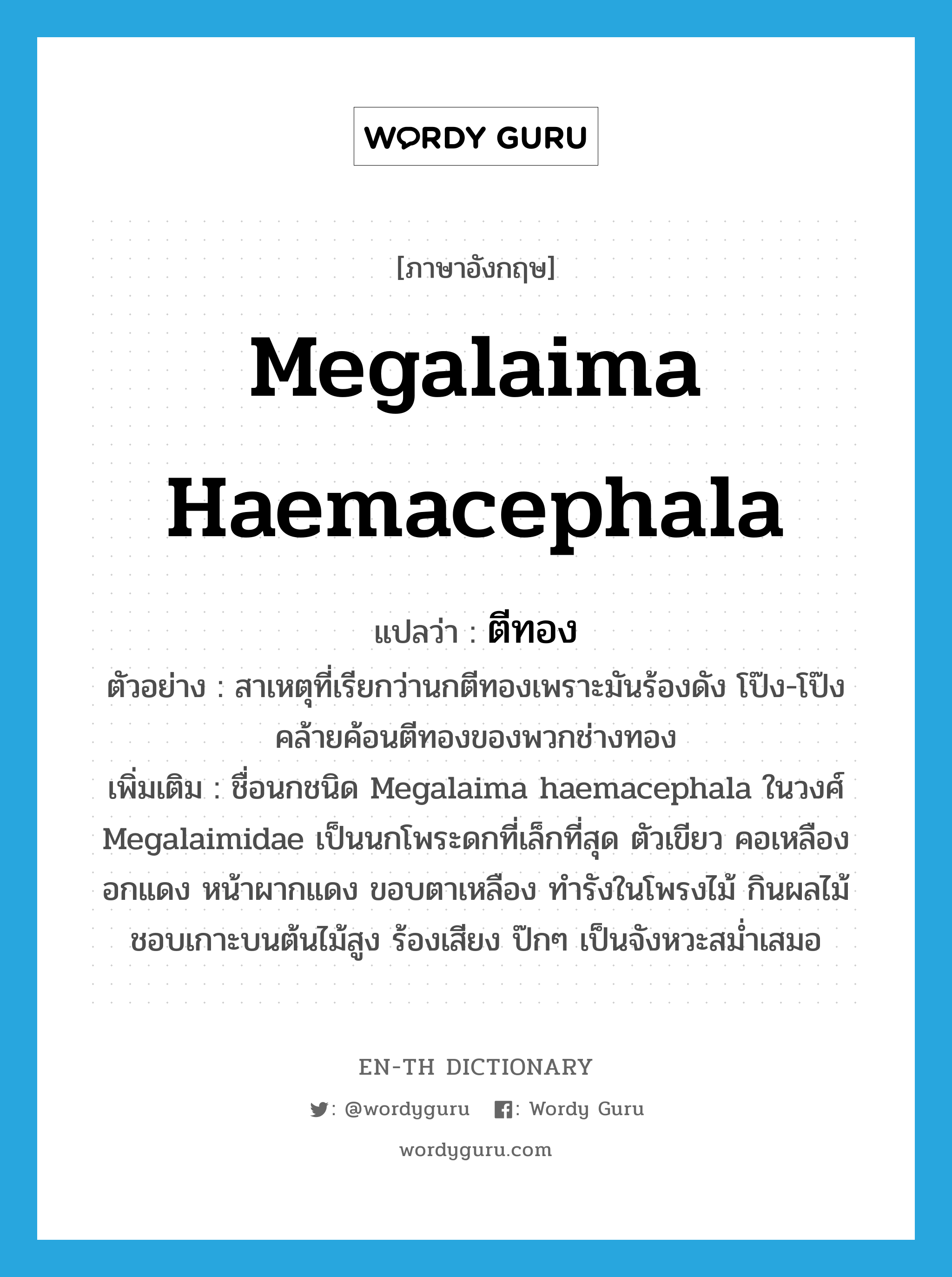 Megalaima haemacephala แปลว่า?, คำศัพท์ภาษาอังกฤษ Megalaima haemacephala แปลว่า ตีทอง ประเภท N ตัวอย่าง สาเหตุที่เรียกว่านกตีทองเพราะมันร้องดัง โป๊ง-โป๊ง คล้ายค้อนตีทองของพวกช่างทอง เพิ่มเติม ชื่อนกชนิด Megalaima haemacephala ในวงศ์ Megalaimidae เป็นนกโพระดกที่เล็กที่สุด ตัวเขียว คอเหลือง อกแดง หน้าผากแดง ขอบตาเหลือง ทำรังในโพรงไม้ กินผลไม้ ชอบเกาะบนต้นไม้สูง ร้องเสียง ป๊กๆ เป็นจังหวะสม่ำเสมอ หมวด N