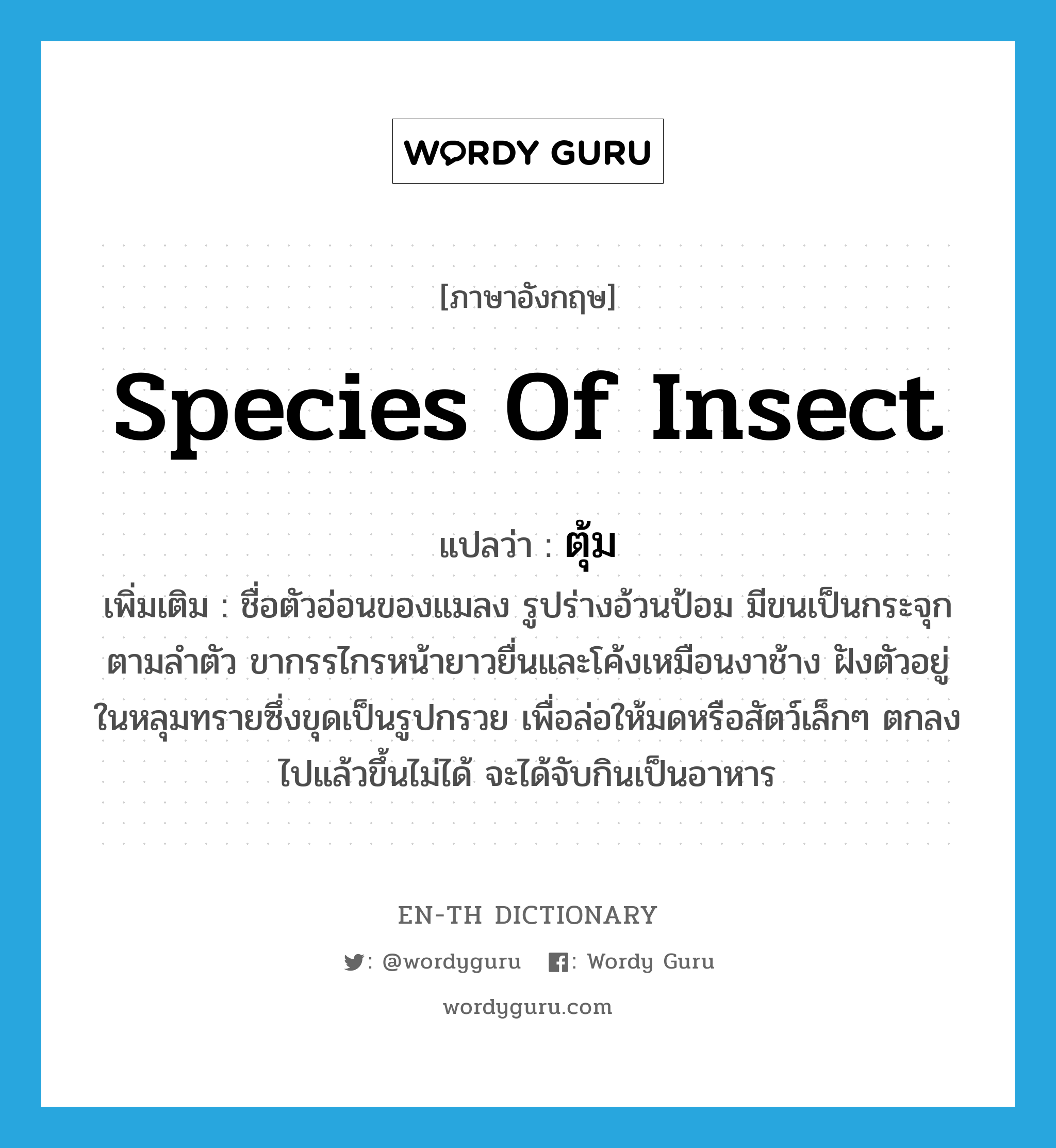 species of insect แปลว่า?, คำศัพท์ภาษาอังกฤษ species of insect แปลว่า ตุ้ม ประเภท N เพิ่มเติม ชื่อตัวอ่อนของแมลง รูปร่างอ้วนป้อม มีขนเป็นกระจุกตามลำตัว ขากรรไกรหน้ายาวยื่นและโค้งเหมือนงาช้าง ฝังตัวอยู่ในหลุมทรายซึ่งขุดเป็นรูปกรวย เพื่อล่อให้มดหรือสัตว์เล็กๆ ตกลงไปแล้วขึ้นไม่ได้ จะได้จับกินเป็นอาหาร หมวด N