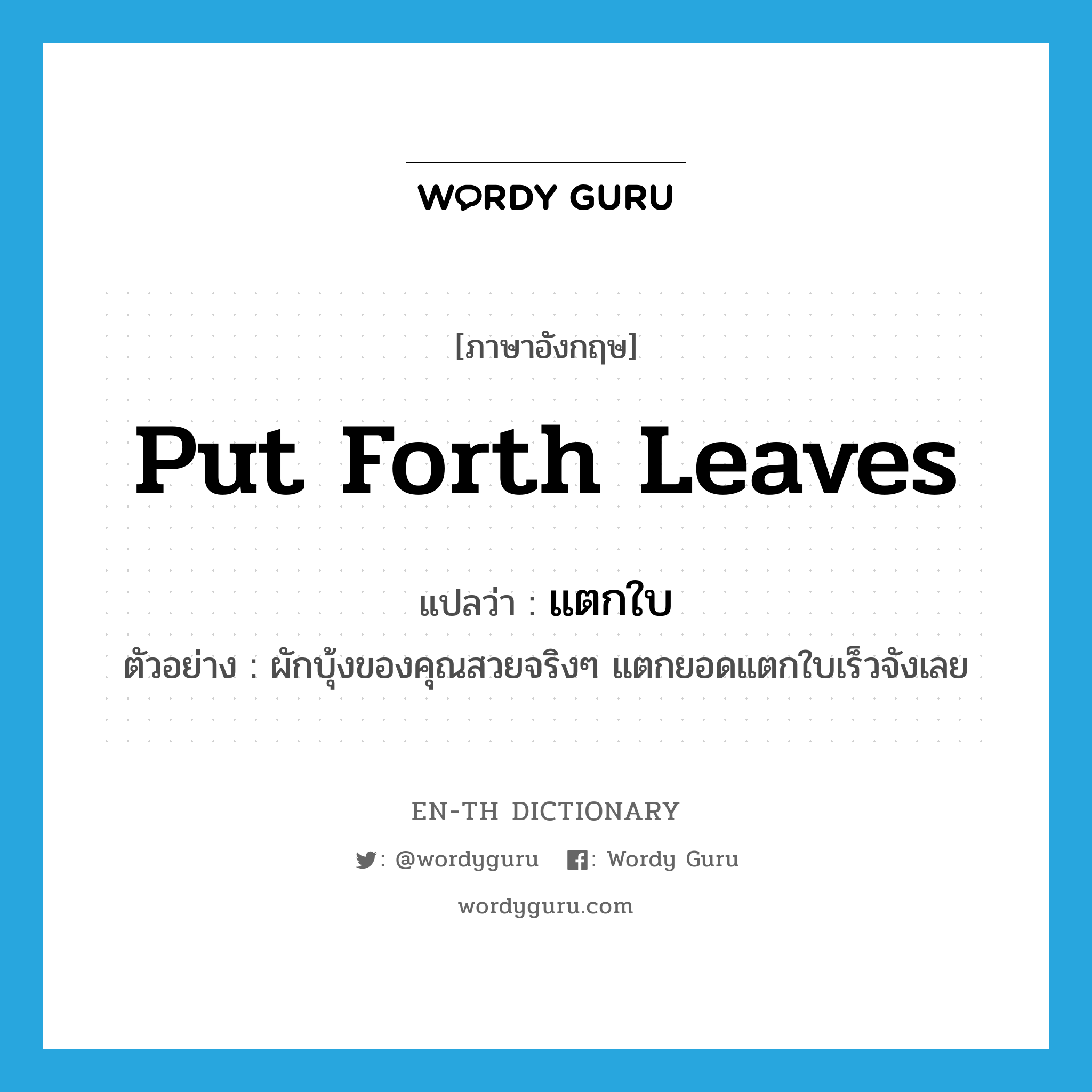 put forth leaves แปลว่า?, คำศัพท์ภาษาอังกฤษ put forth leaves แปลว่า แตกใบ ประเภท V ตัวอย่าง ผักบุ้งของคุณสวยจริงๆ แตกยอดแตกใบเร็วจังเลย หมวด V