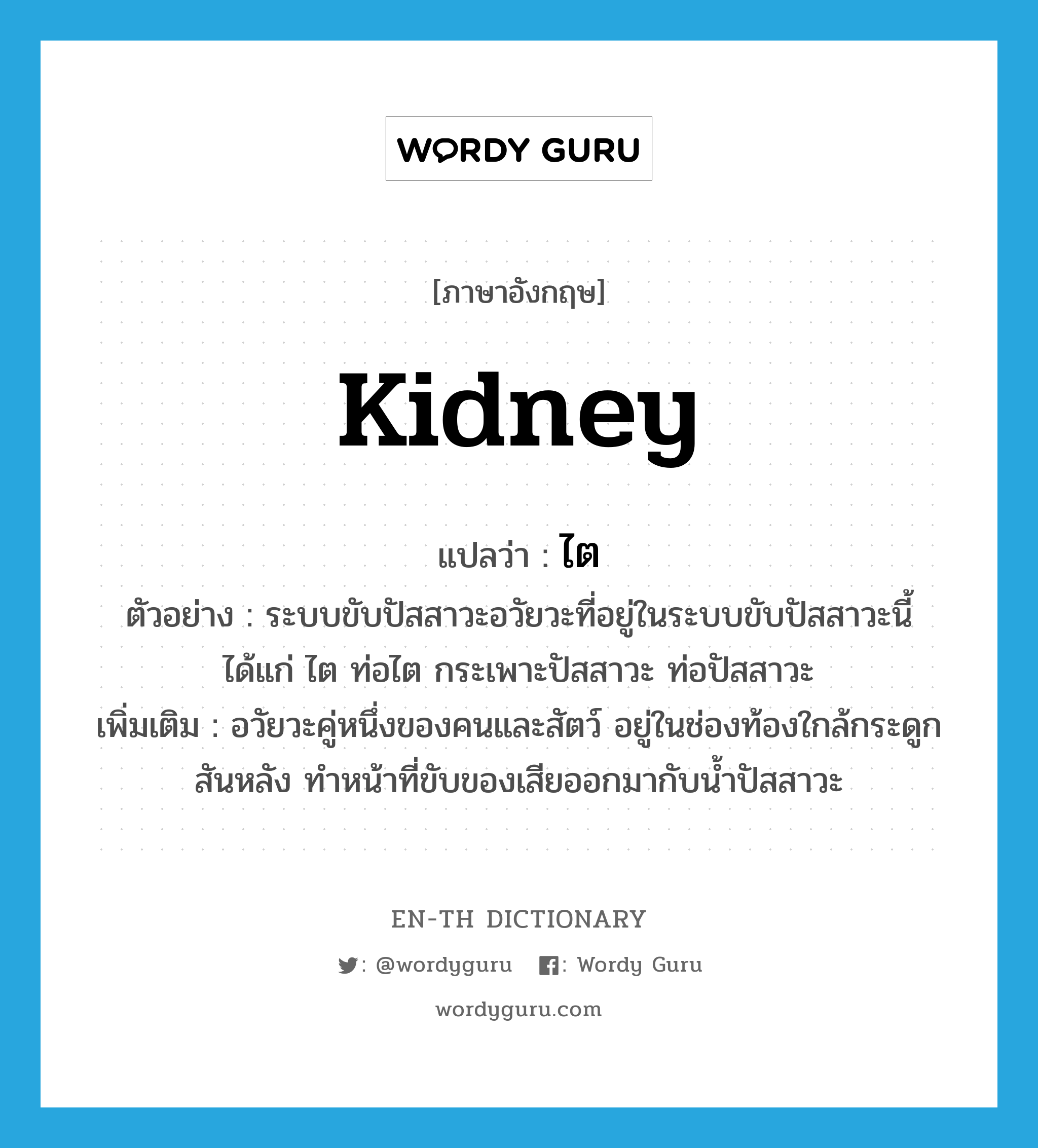 kidney แปลว่า?, คำศัพท์ภาษาอังกฤษ kidney แปลว่า ไต ประเภท N ตัวอย่าง ระบบขับปัสสาวะอวัยวะที่อยู่ในระบบขับปัสสาวะนี้ได้แก่ ไต ท่อไต กระเพาะปัสสาวะ ท่อปัสสาวะ เพิ่มเติม อวัยวะคู่หนึ่งของคนและสัตว์ อยู่ในช่องท้องใกล้กระดูกสันหลัง ทำหน้าที่ขับของเสียออกมากับน้ำปัสสาวะ หมวด N