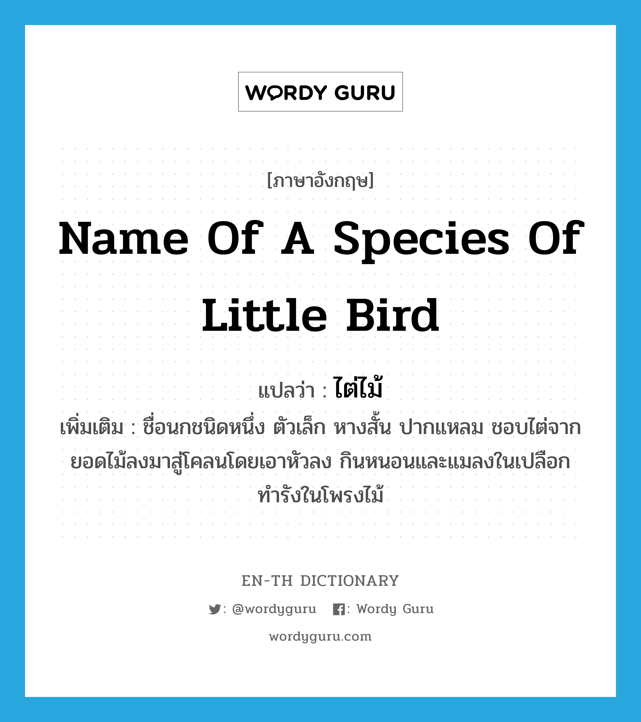 ไต่ไม้ ภาษาอังกฤษ?, คำศัพท์ภาษาอังกฤษ ไต่ไม้ แปลว่า name of a species of little bird ประเภท N เพิ่มเติม ชื่อนกชนิดหนึ่ง ตัวเล็ก หางสั้น ปากแหลม ชอบไต่จากยอดไม้ลงมาสู่โคลนโดยเอาหัวลง กินหนอนและแมลงในเปลือก ทำรังในโพรงไม้ หมวด N