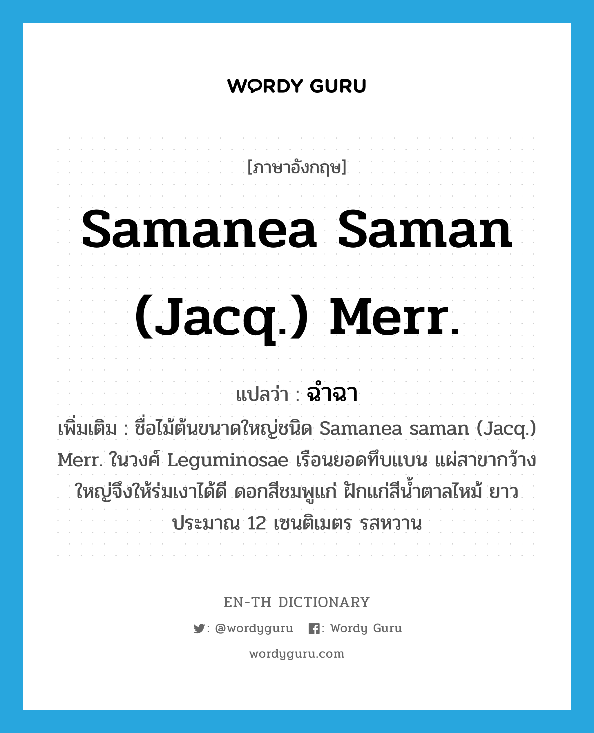 Samanea saman (Jacq.) Merr. แปลว่า?, คำศัพท์ภาษาอังกฤษ Samanea saman (Jacq.) Merr. แปลว่า ฉำฉา ประเภท N เพิ่มเติม ชื่อไม้ต้นขนาดใหญ่ชนิด Samanea saman (Jacq.) Merr. ในวงศ์ Leguminosae เรือนยอดทึบแบน แผ่สาขากว้างใหญ่จึงให้ร่มเงาได้ดี ดอกสีชมพูแก่ ฝักแก่สีน้ำตาลไหม้ ยาวประมาณ 12 เซนติเมตร รสหวาน หมวด N